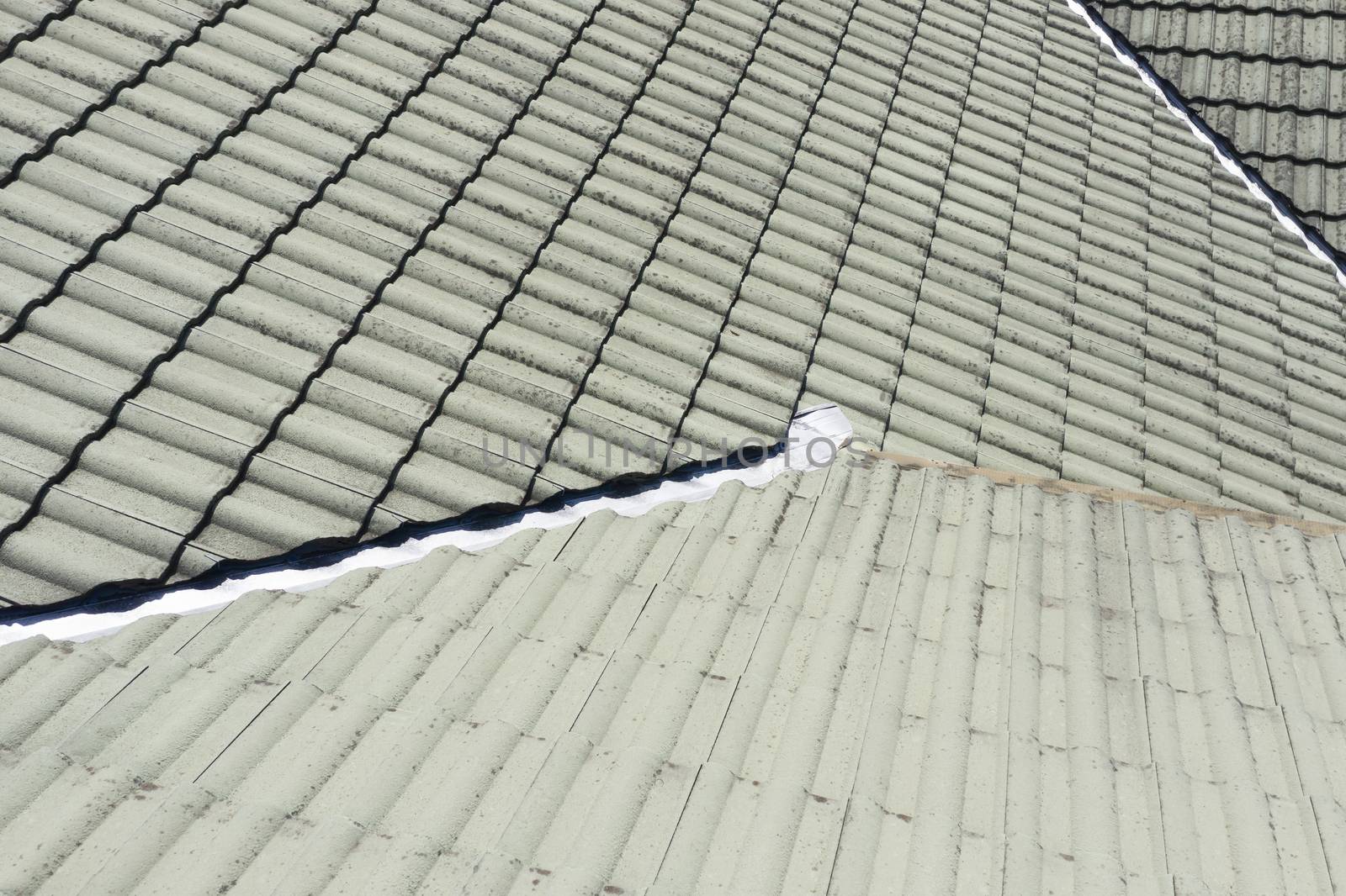 Close up of green tiles on a  roof in the sunshine by WittkePhotos