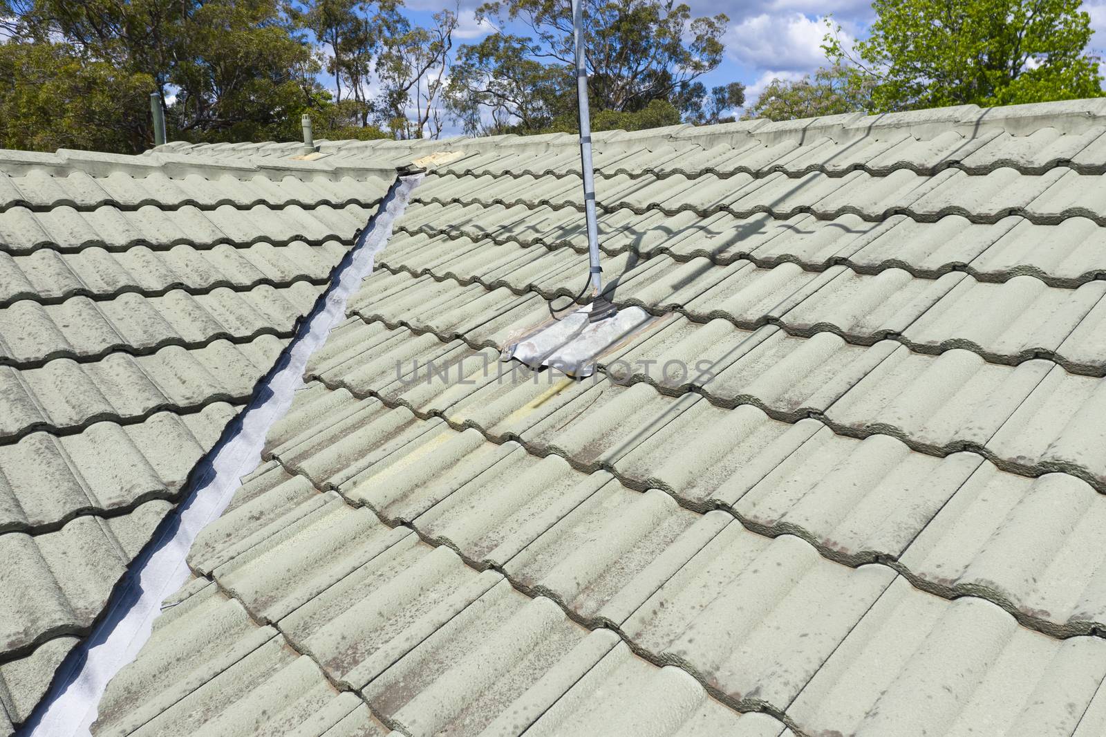 Close up of green roof tiles on a  roof in the sunshine by WittkePhotos