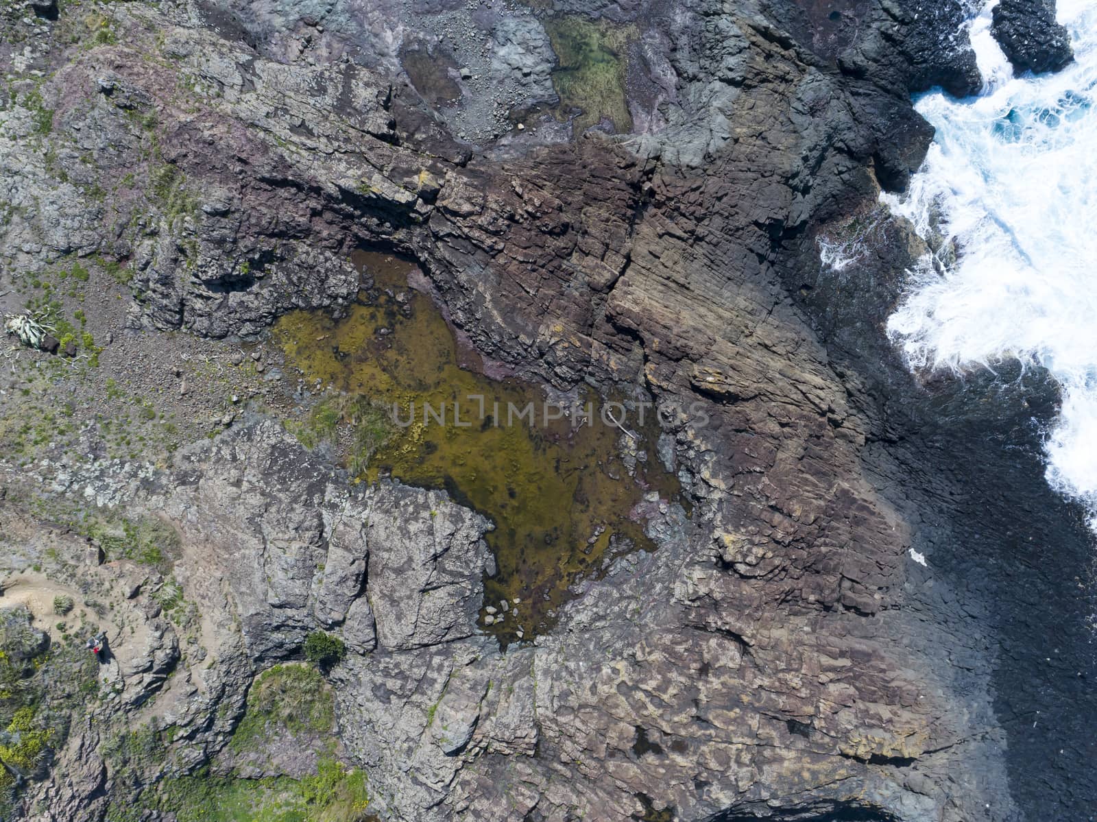 Kaleula Head in Kiama on the New South Wales in Australia by WittkePhotos