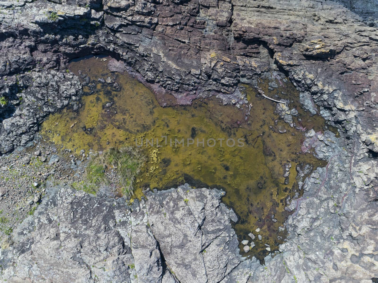 Kaleula Head in Kiama on the New South Wales south coast in Australia