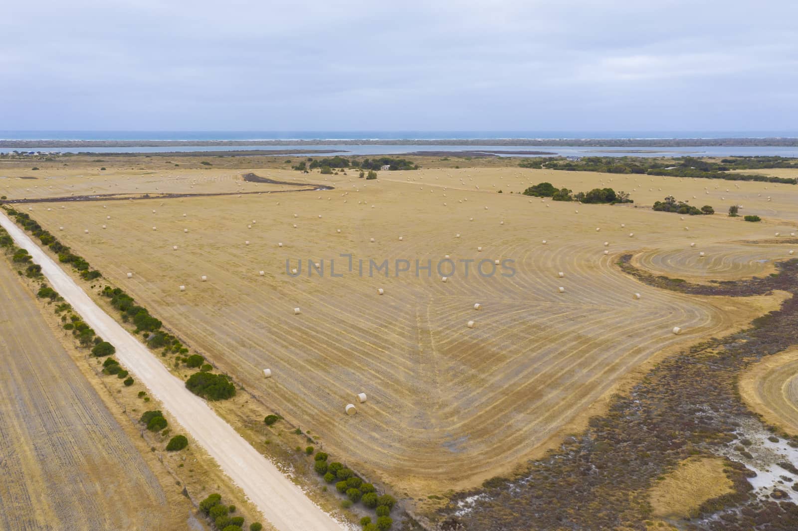 Rolled hay bales in a dry agricultural field