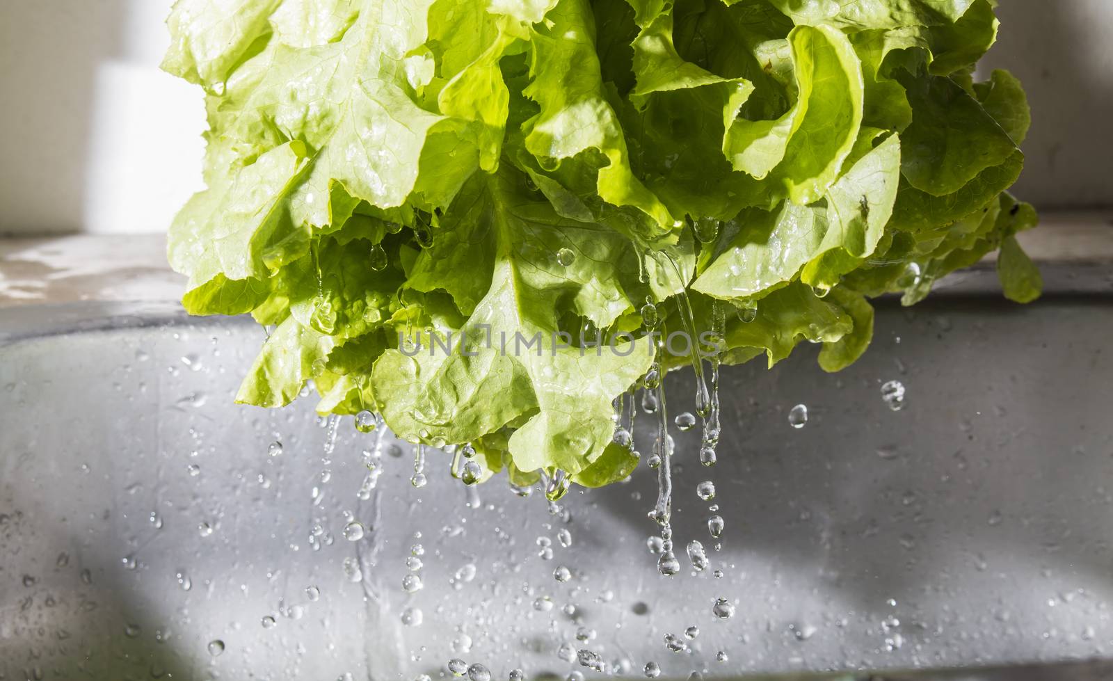 cleans a green salad with water