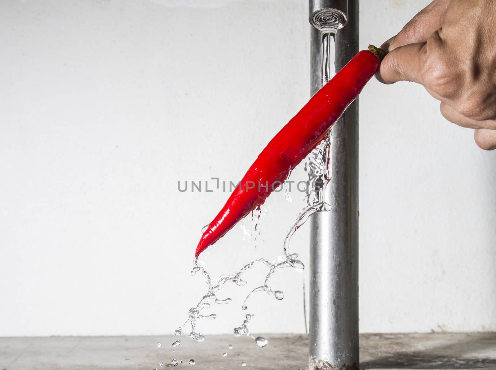 Red chilli pepper cleaning with falling water