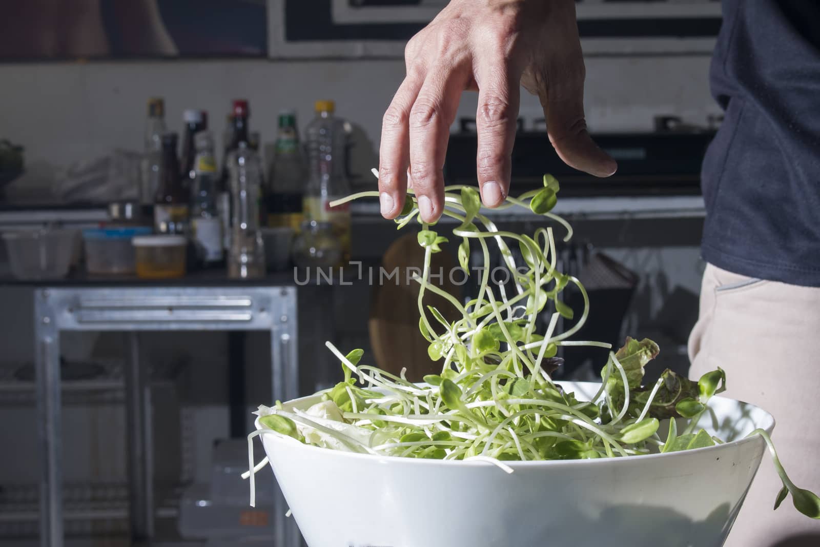 Fresh sunflower sprouts  with male hand