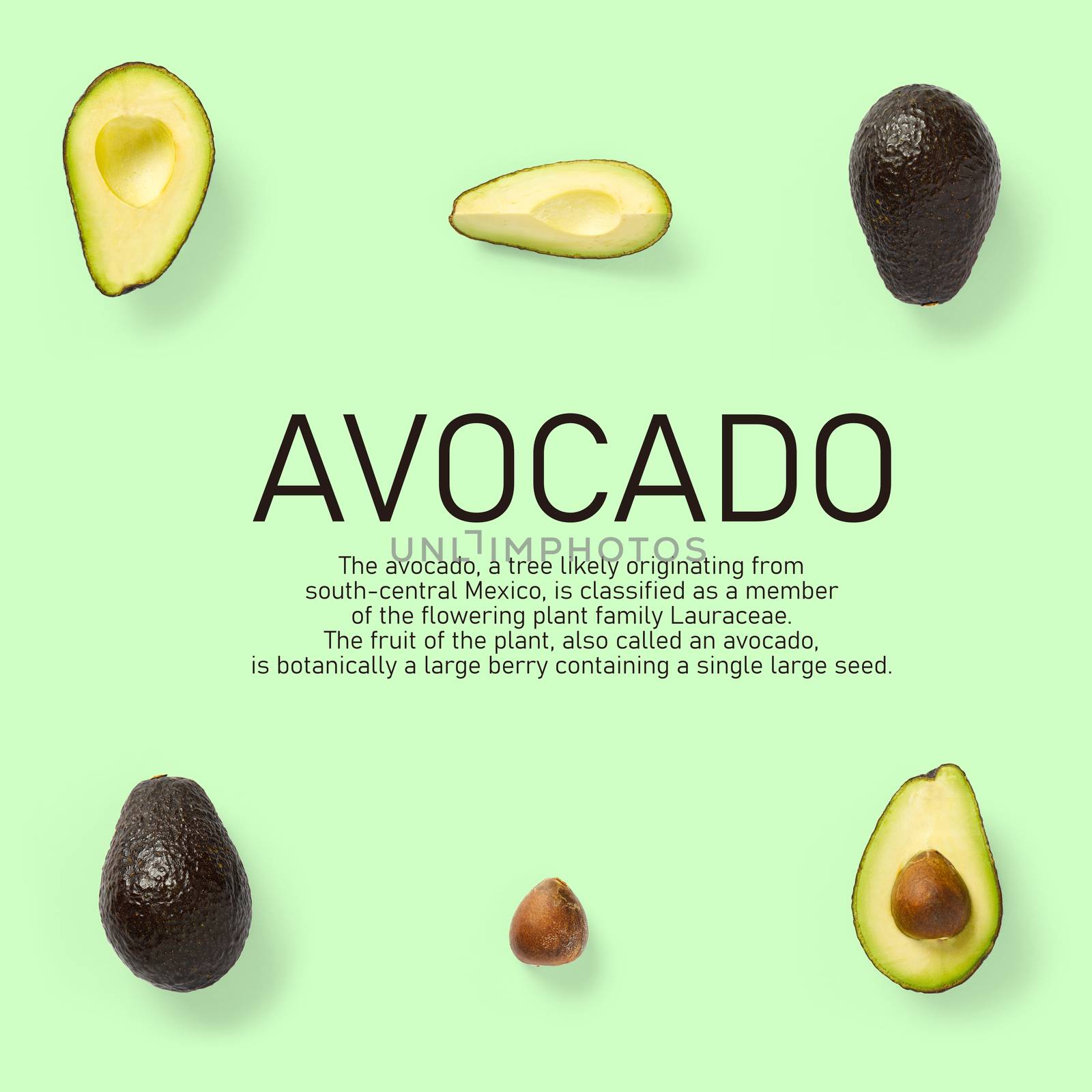 Modern creative avocado collage with simple text on solid color background. Avocado slices creative layout on green background. Flat lay, Food concept by PhotoTime