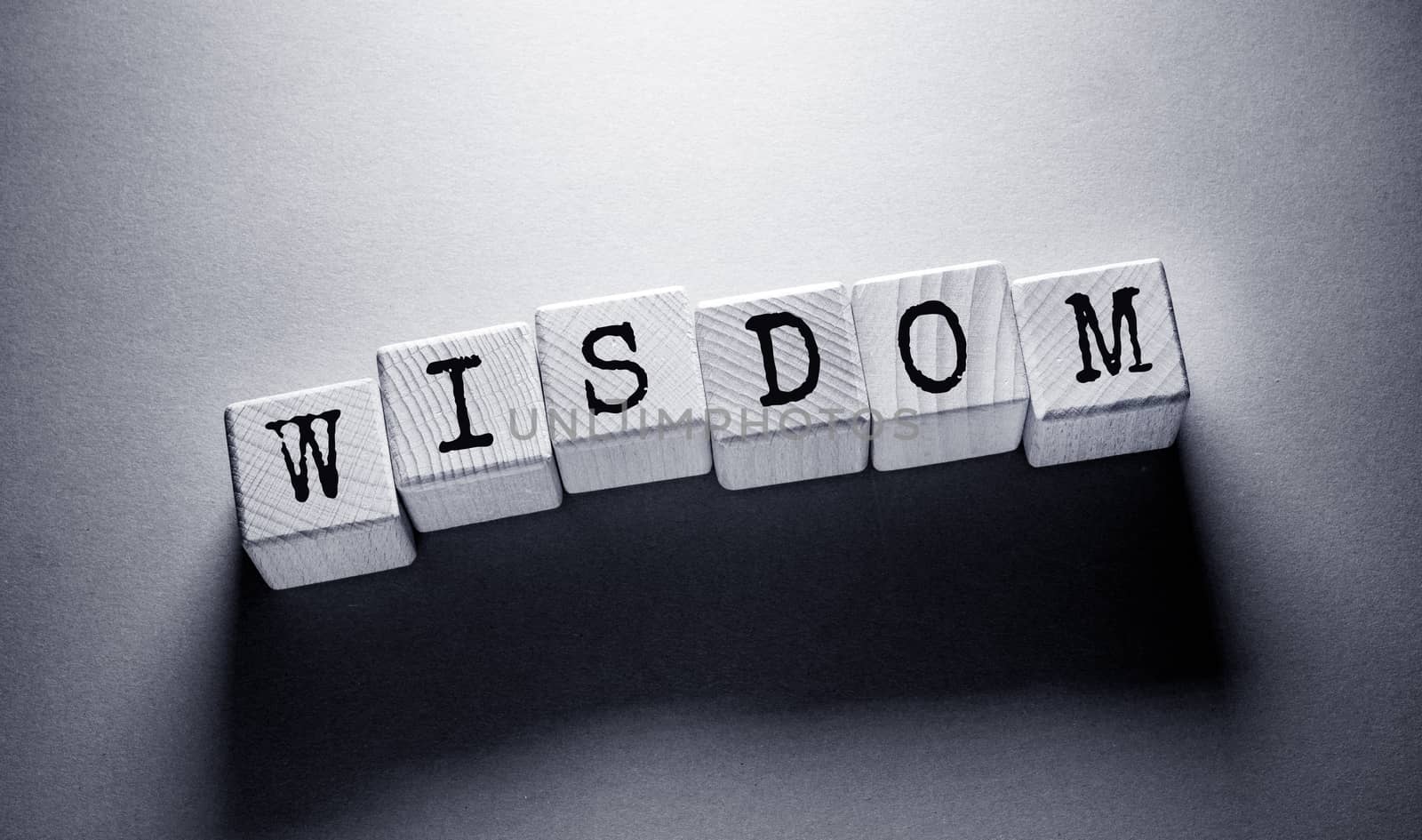 Wisdom Word with Wooden Cubes by Jievani