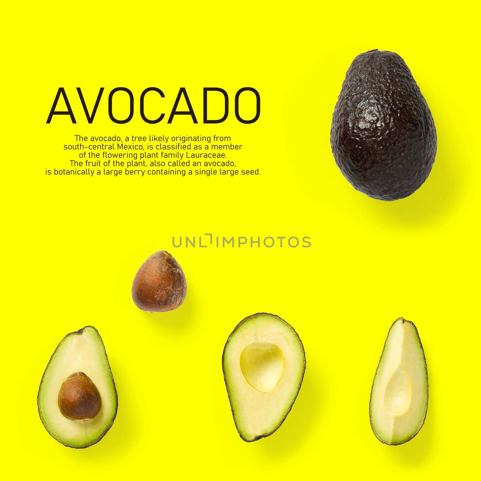 Modern creative avocado collage with simple text on solid color background. Avocado slices creative layout on yellow background. Flat lay, Design elements, Food concept