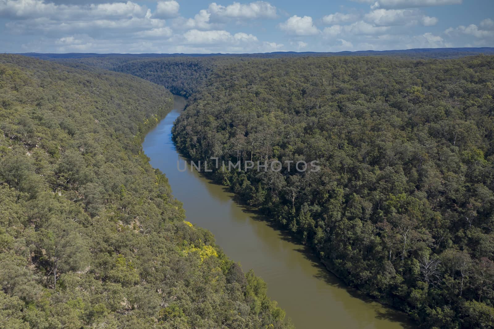 The Nepean River running through forest in regional New South Wales in Australia