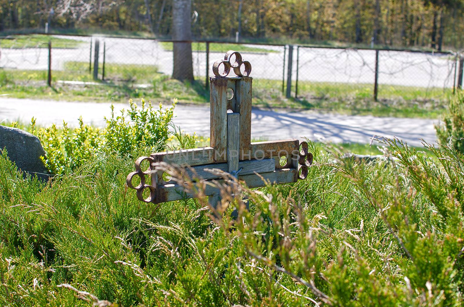 All Saints Day. Simple old cracked wooden cross on a grave in a cemetery. Graves overgrown with bushes.