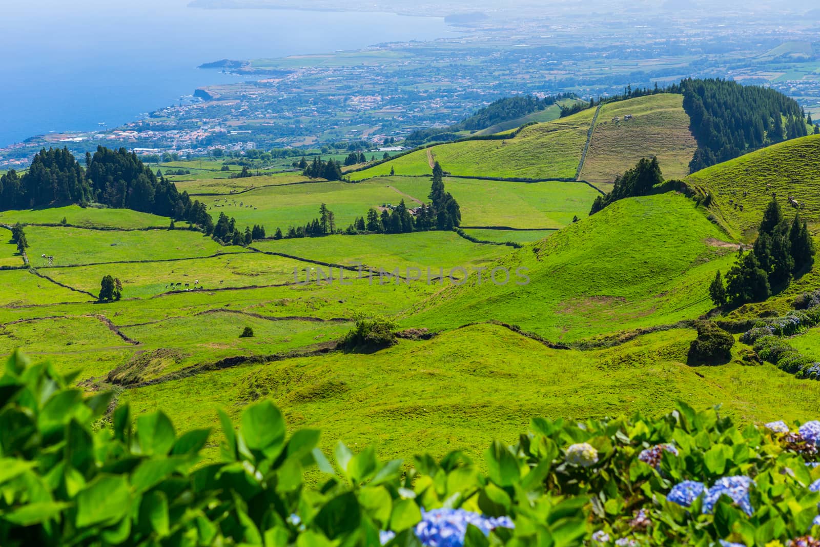 Beautiful landscape sceneries in Azores Portugal. Tropical nature in Sao Miguel Island, Azores.