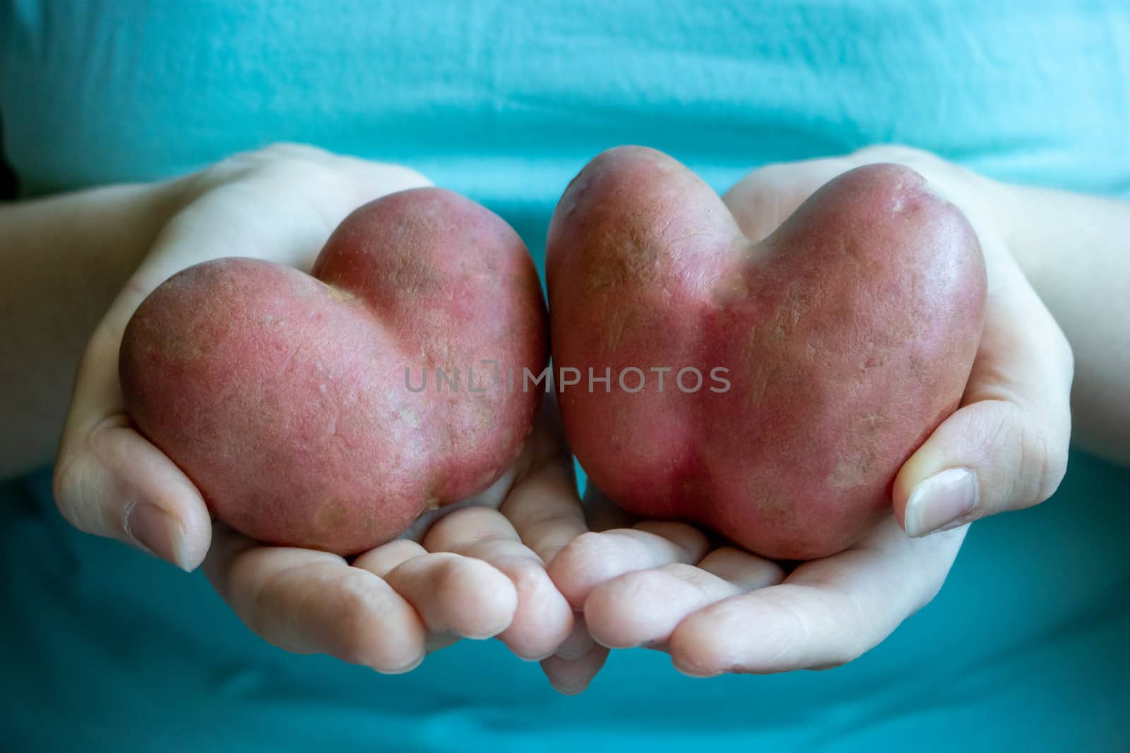 A woman in a blue t-shirt holds a heart-shaped potato by lapushka62