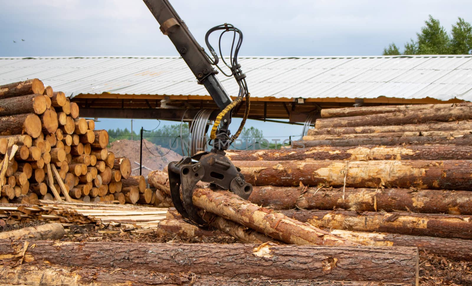 Logging, sawmill. Manipulator for loading wood. The loader of boards and logs works against the background of a stormy sky by lapushka62