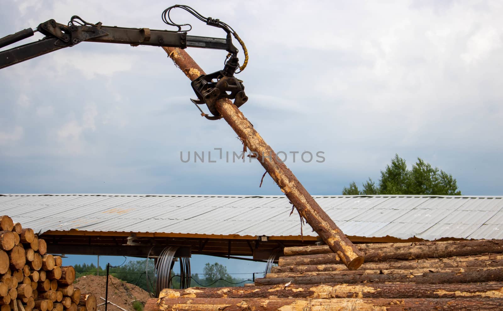 Logging, sawmill. Manipulator for loading wood. The loader of boards and logs works against the background of a stormy sky by lapushka62