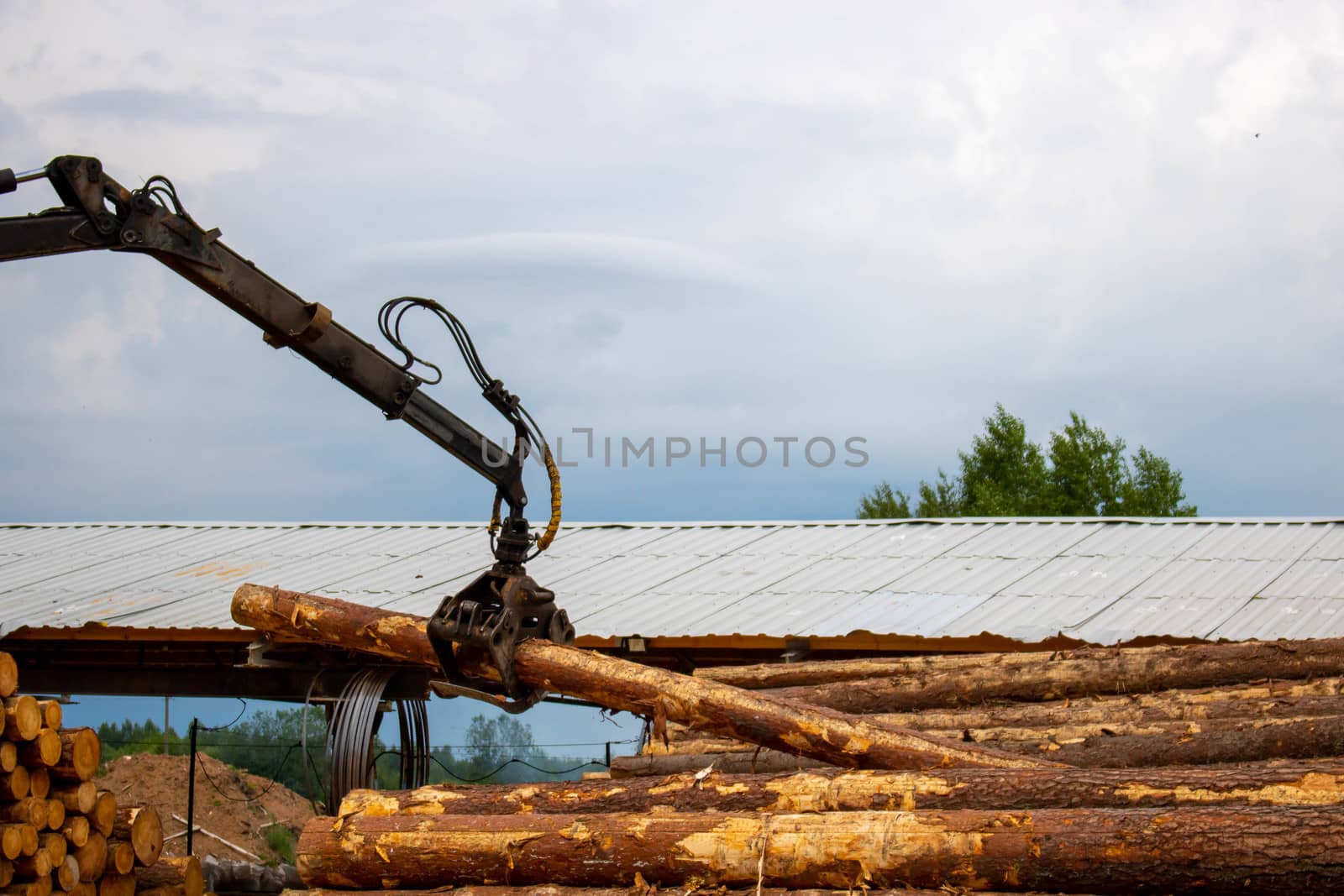 Logging, sawmill. Manipulator for loading wood. The loader of boards and logs works against the background of a stormy sky by lapushka62