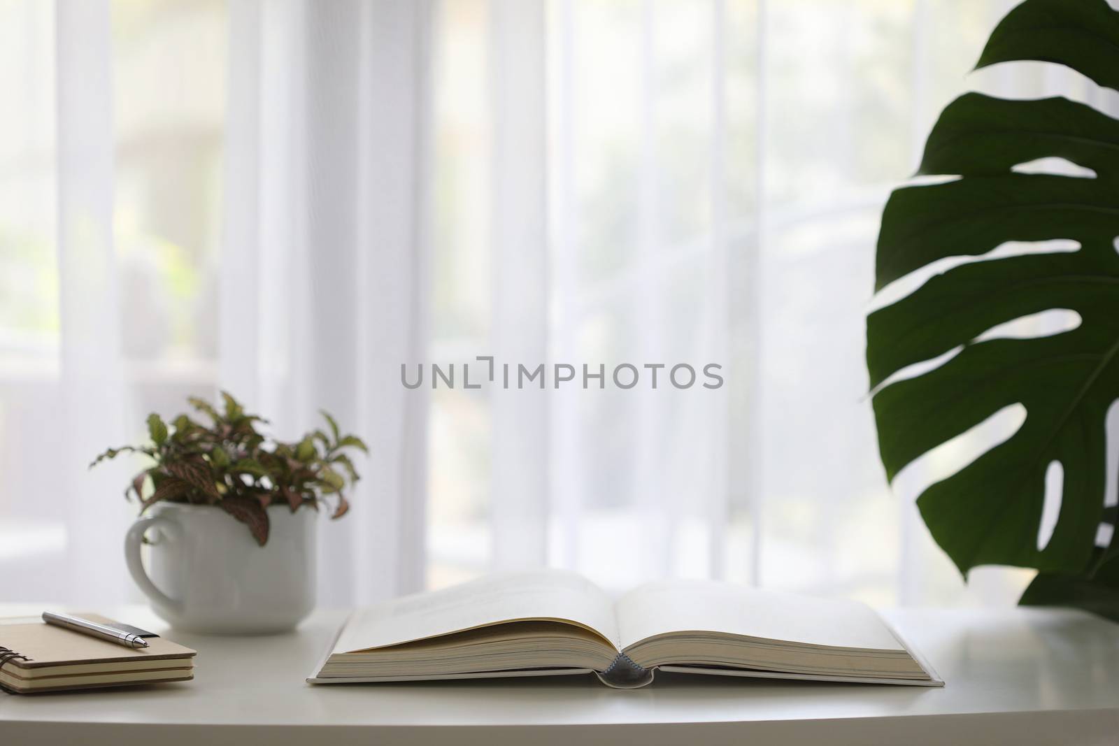 Interior house decor table with white notebook and plants pot with see through curtain