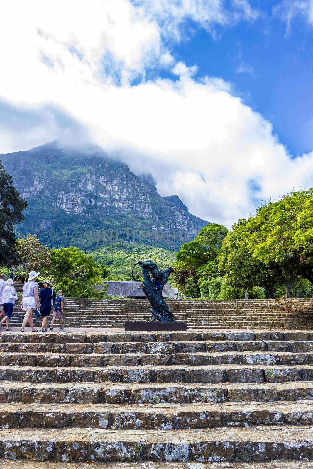 Dylan Lewis sculpture puma in the beautiful Kirstenbosch Gardens in Cape Town.