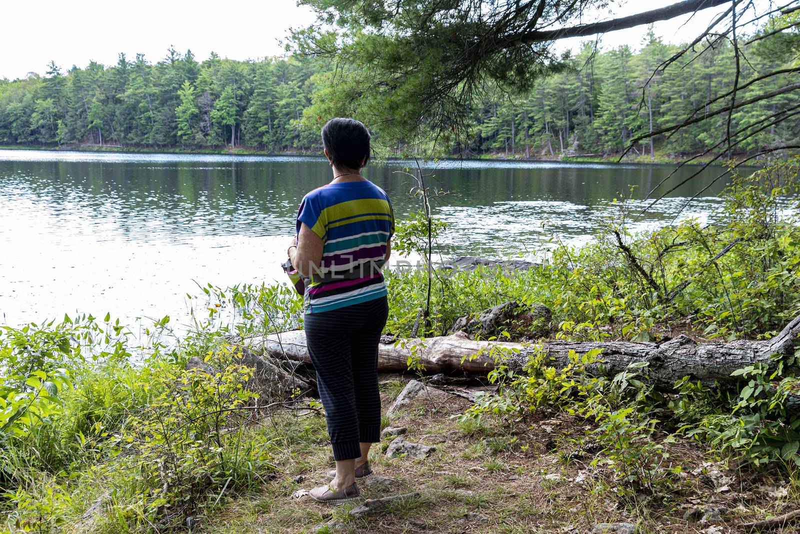 Woman looking at panorama forest lake standing on the shore

