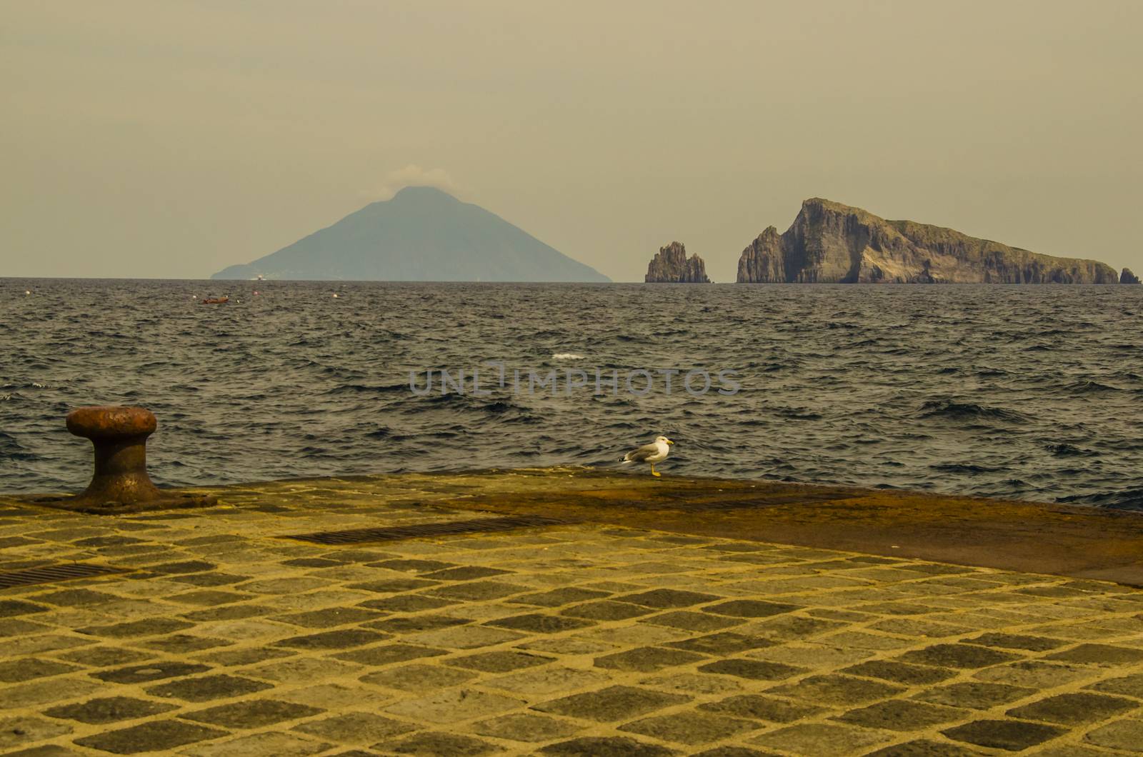 Island of panarea pier seagull and on the horizon stromboli island with its volcano and several cliffs in the tyrrhenian sea