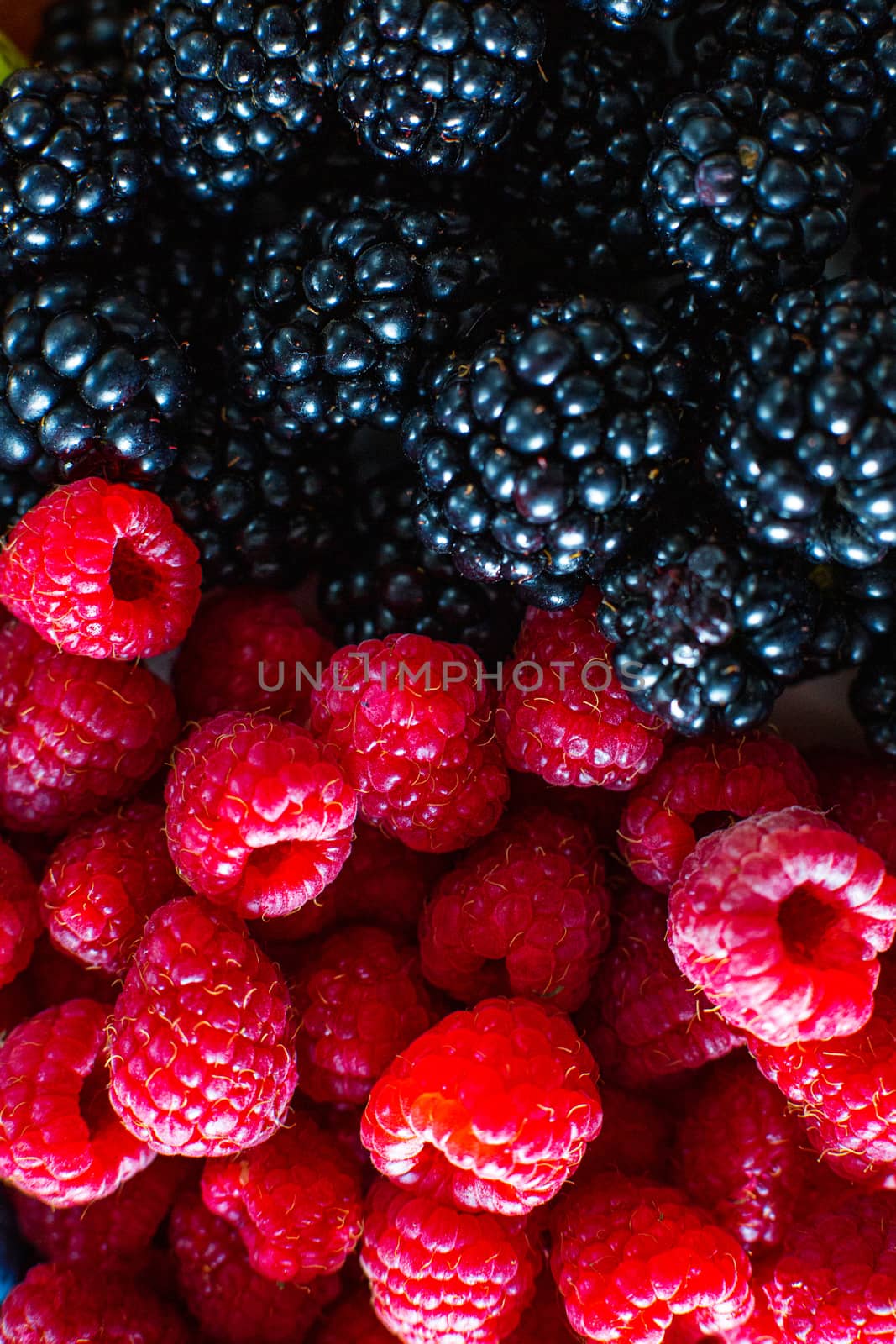 Close-up of raspberry and black mulberry berries split frame. Summer vitamins, sweet berries