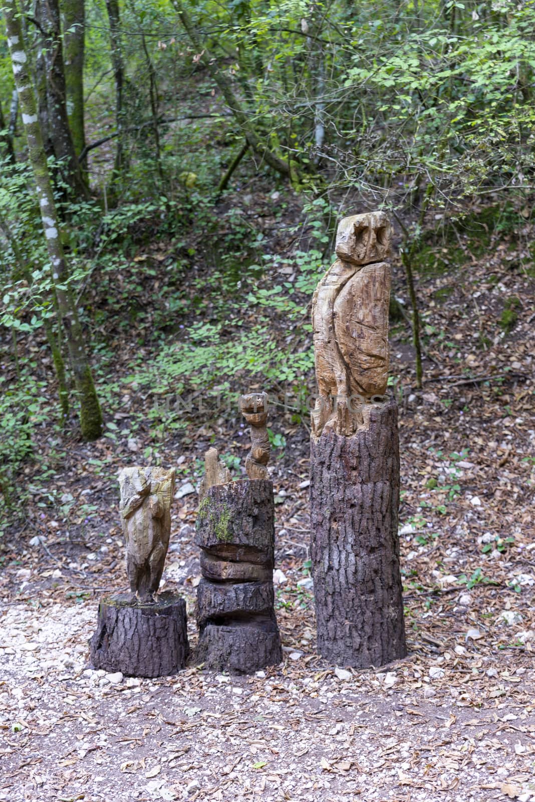 inlaid wooden totem in the shape of an owl positioned in the woods