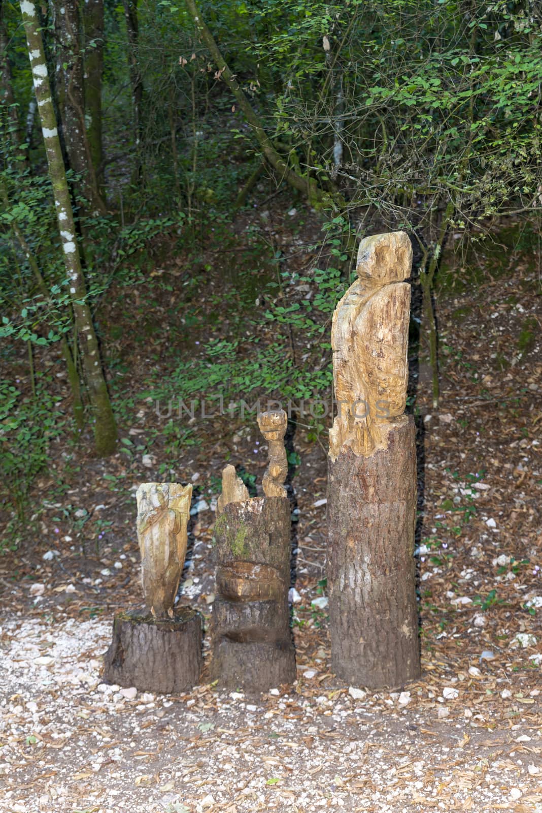inlaid wooden totem in the shape of an owl positioned in the woods