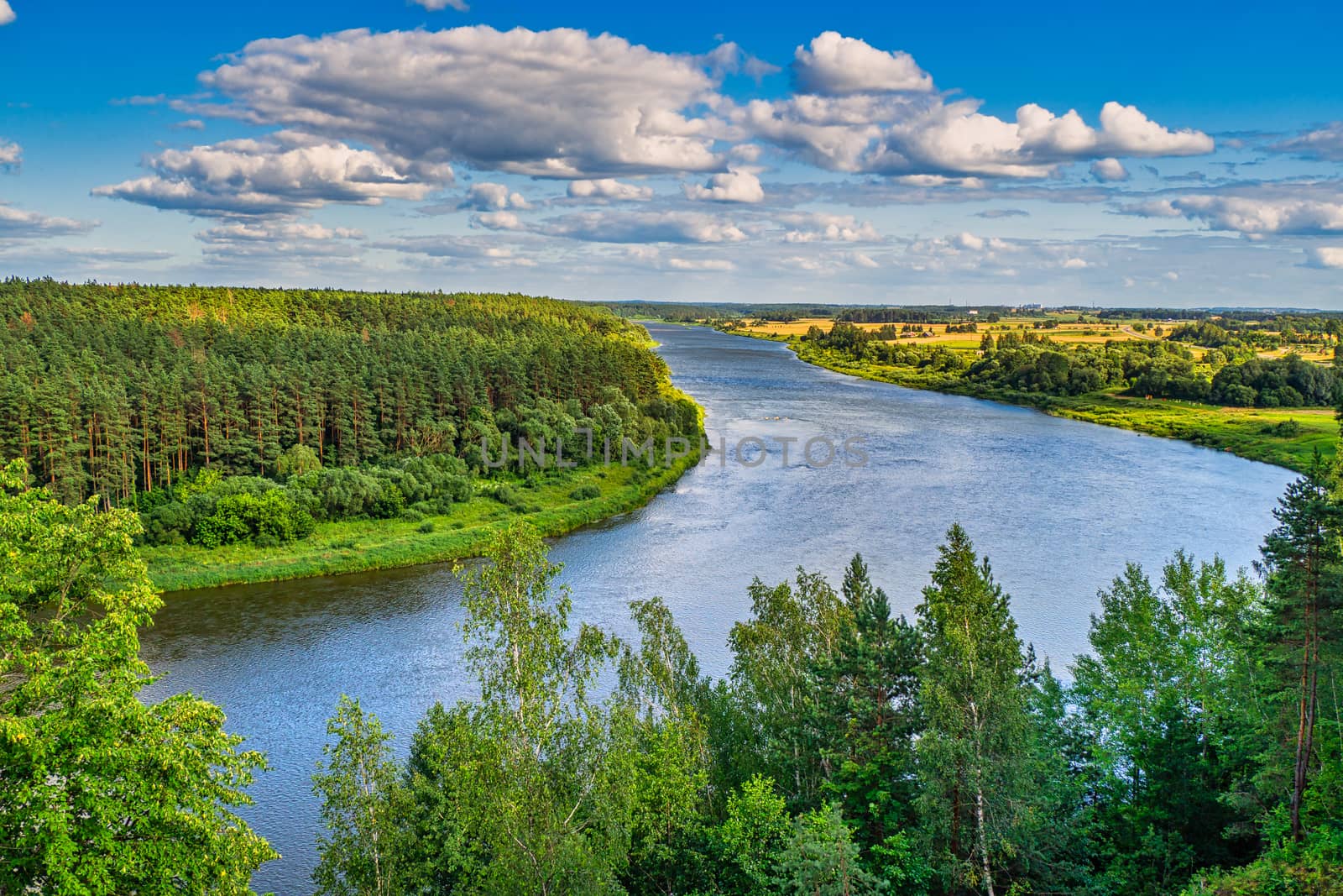 Beautiful Panoramic View. Amazing River and Forest Landscape.