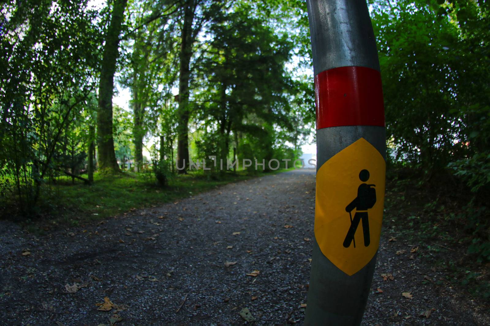 Hiking sign in forrest path on a metal post