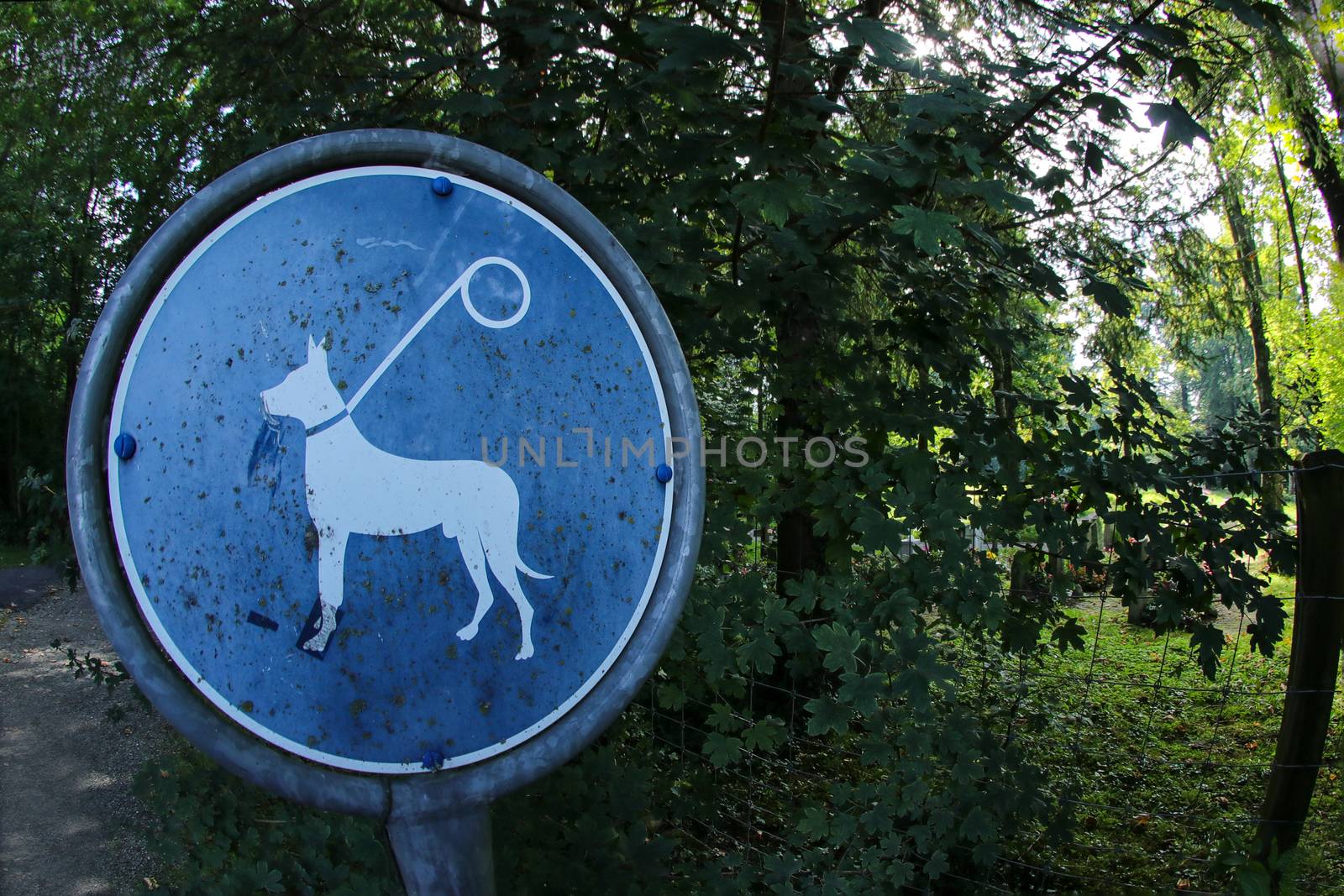 Keep dog on a leash . Blue sign in forrest