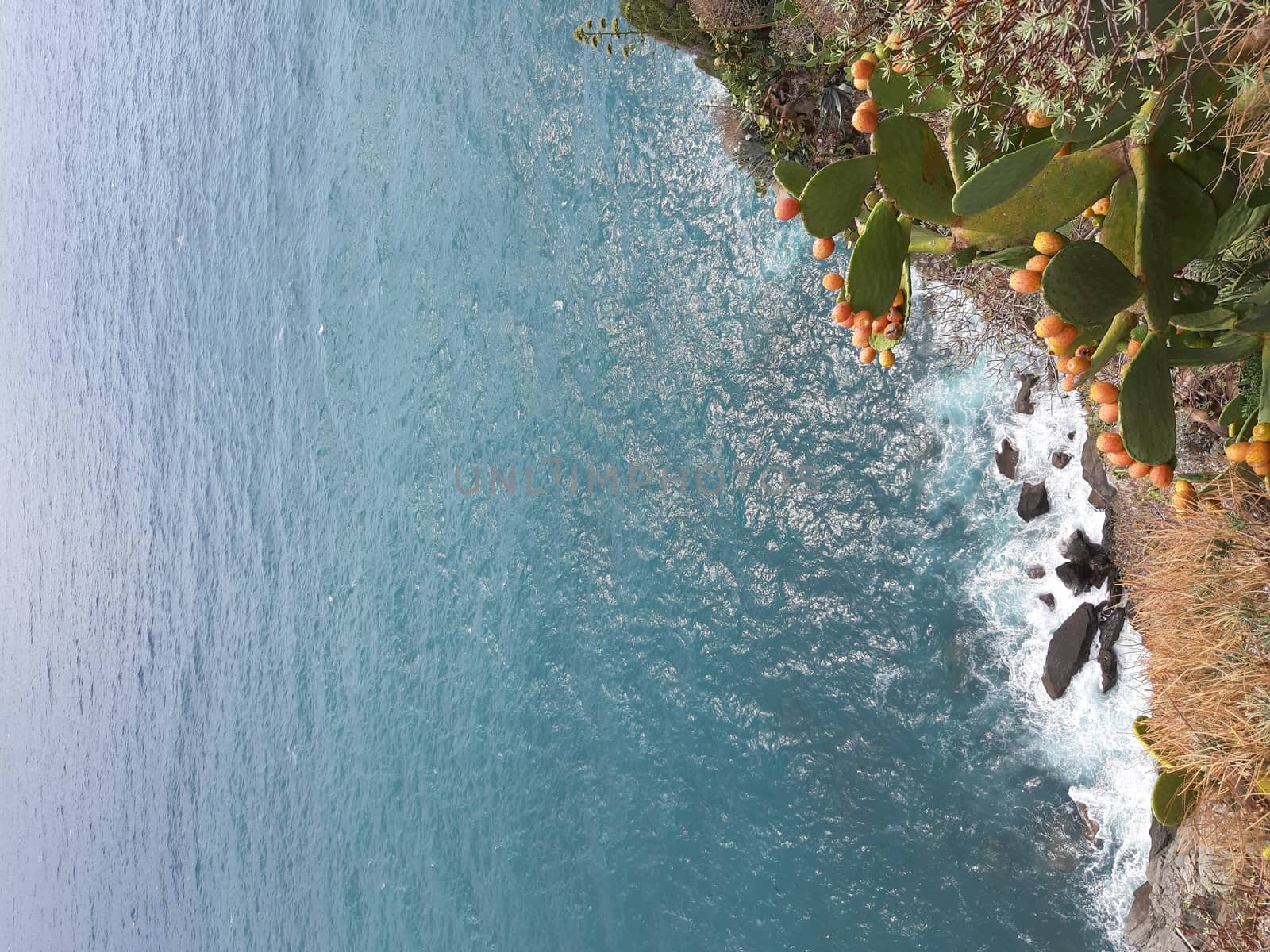 Cinque Terre, Italy - 09/02/2020: Beautiful landscape of a coastal fishing village, amazing view on many little colorful houses, traditional architecture of the little Italian town called Cinque Terre