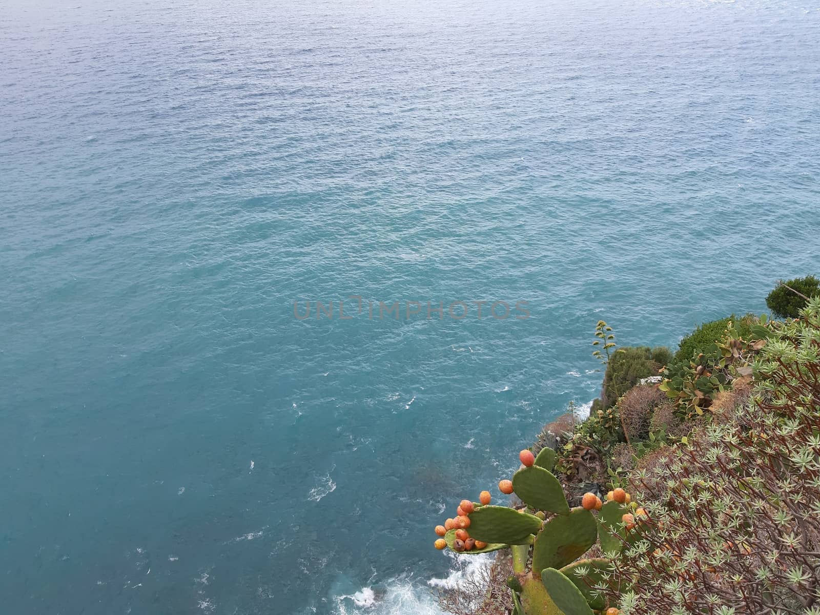 Cinque Terre, Italy - 09/02/2020: Beautiful landscape of a coastal fishing village, amazing view on many little colorful houses, traditional architecture of the little Italian town called Cinque Terre