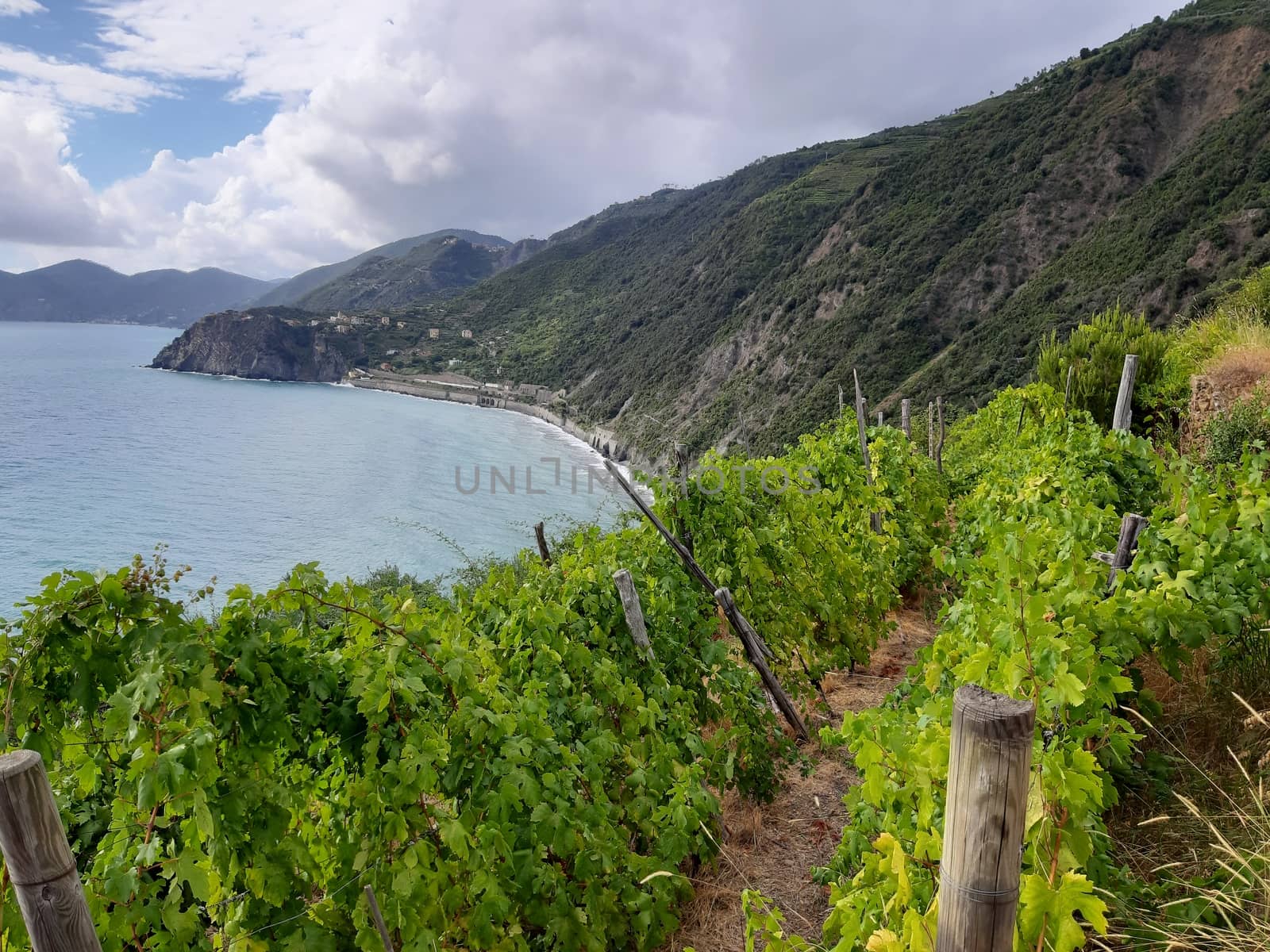 Cinque Terre, Italy - 09/02/2020: Beautiful landscape of a coastal fishing village, amazing view on many little colorful houses, traditional architecture of the little Italian town called Cinque Terre