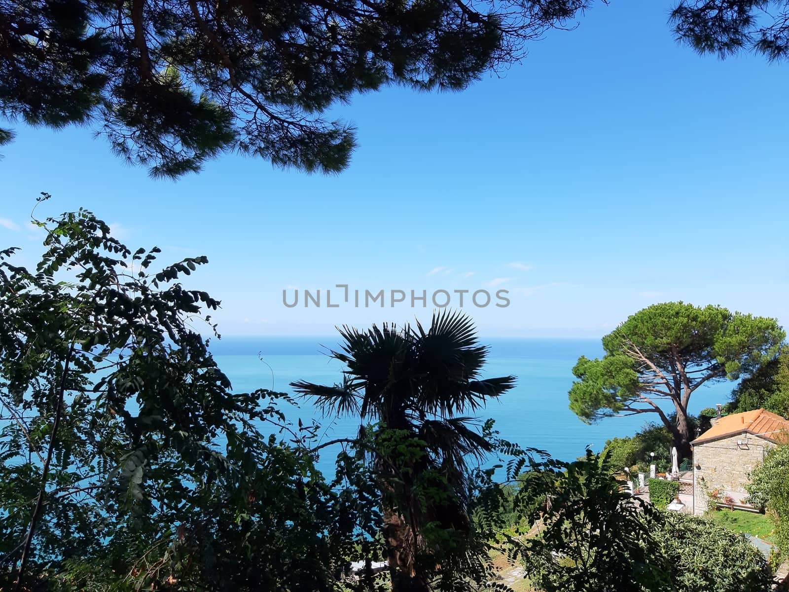 Cinque Terre, Italy - 09/02/2020: Beautiful landscape of a coastal fishing village, amazing view on many little colorful houses, traditional architecture of the little Italian town called Cinque Terre