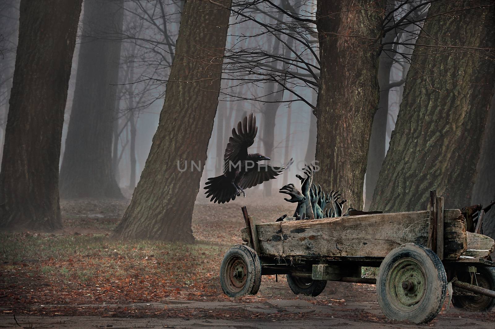 Spooky forest with flying crow, carriage of the dead and trees. Mysterious forest with crow on the night. Scary Halloween concept. Photo manipulation