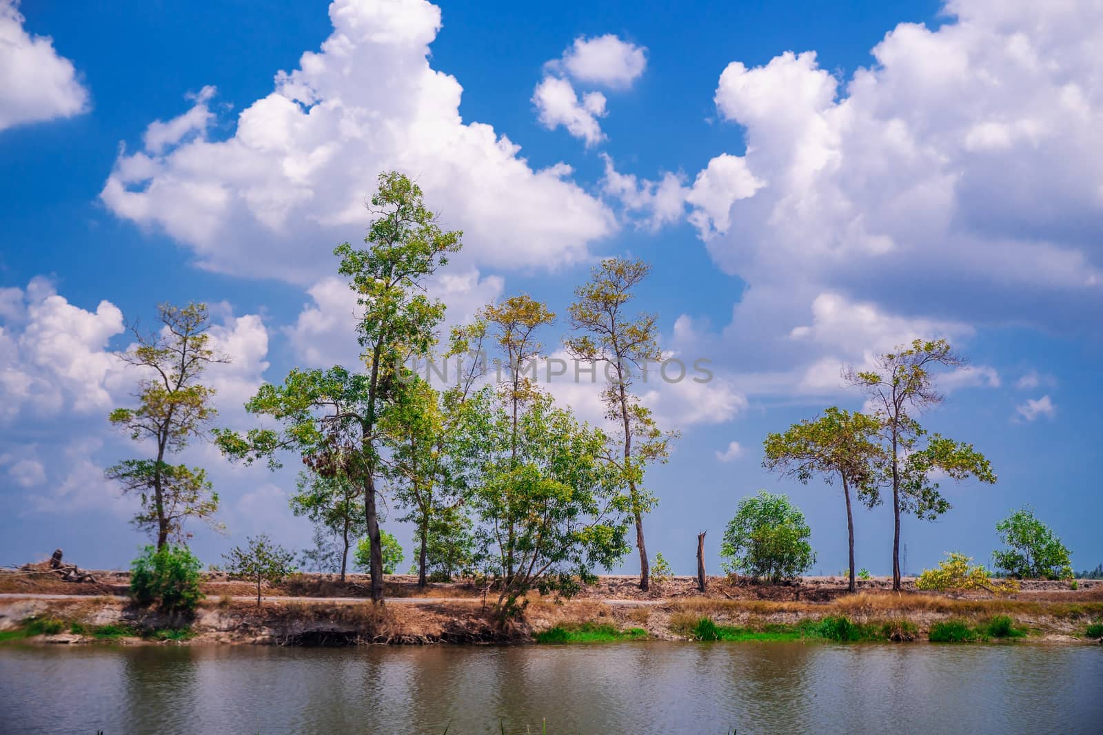 View of landscape nature and river and cloud and blue sky in day light