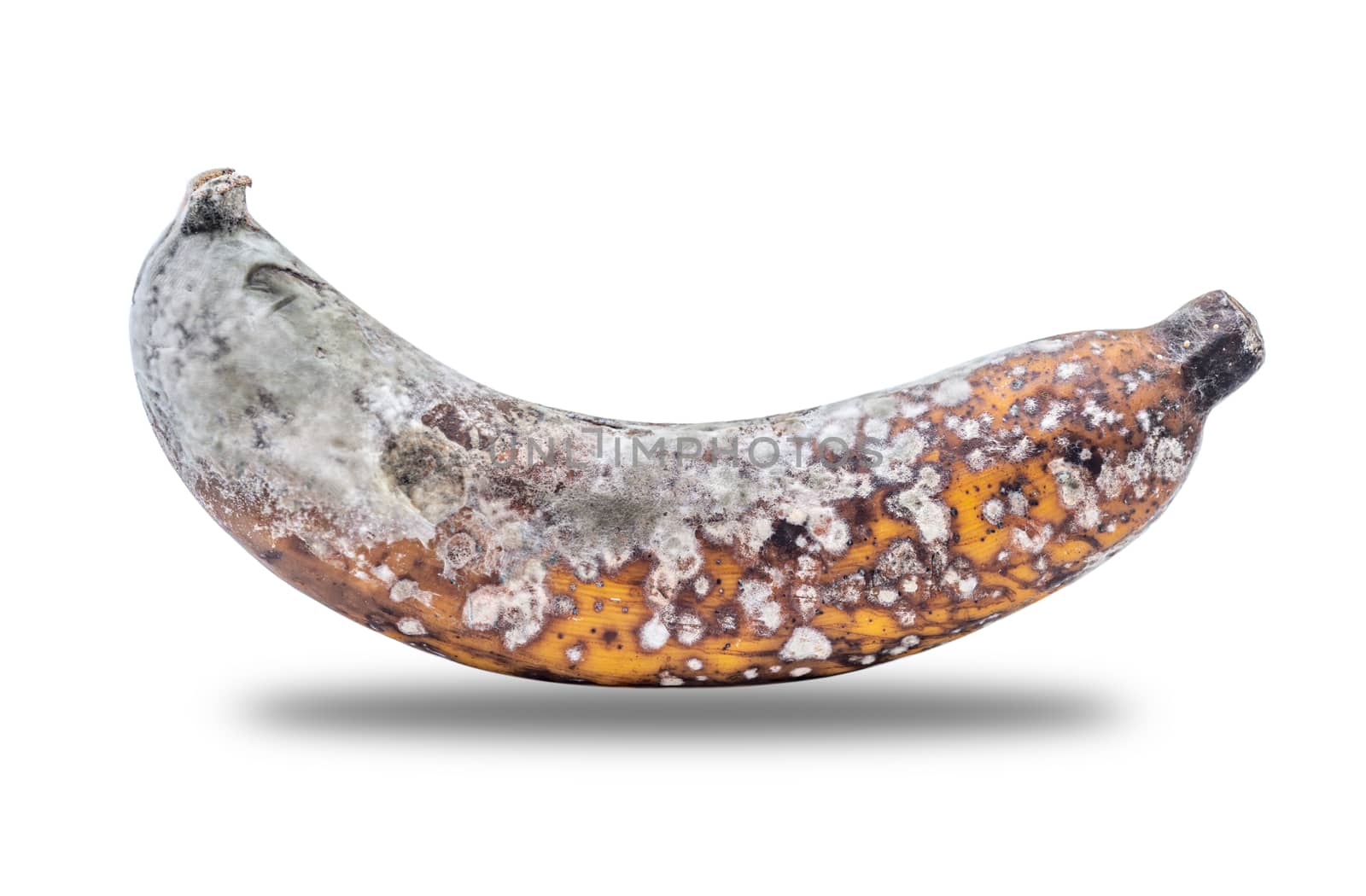 Rootten banana isolated on white background, Clipping paths