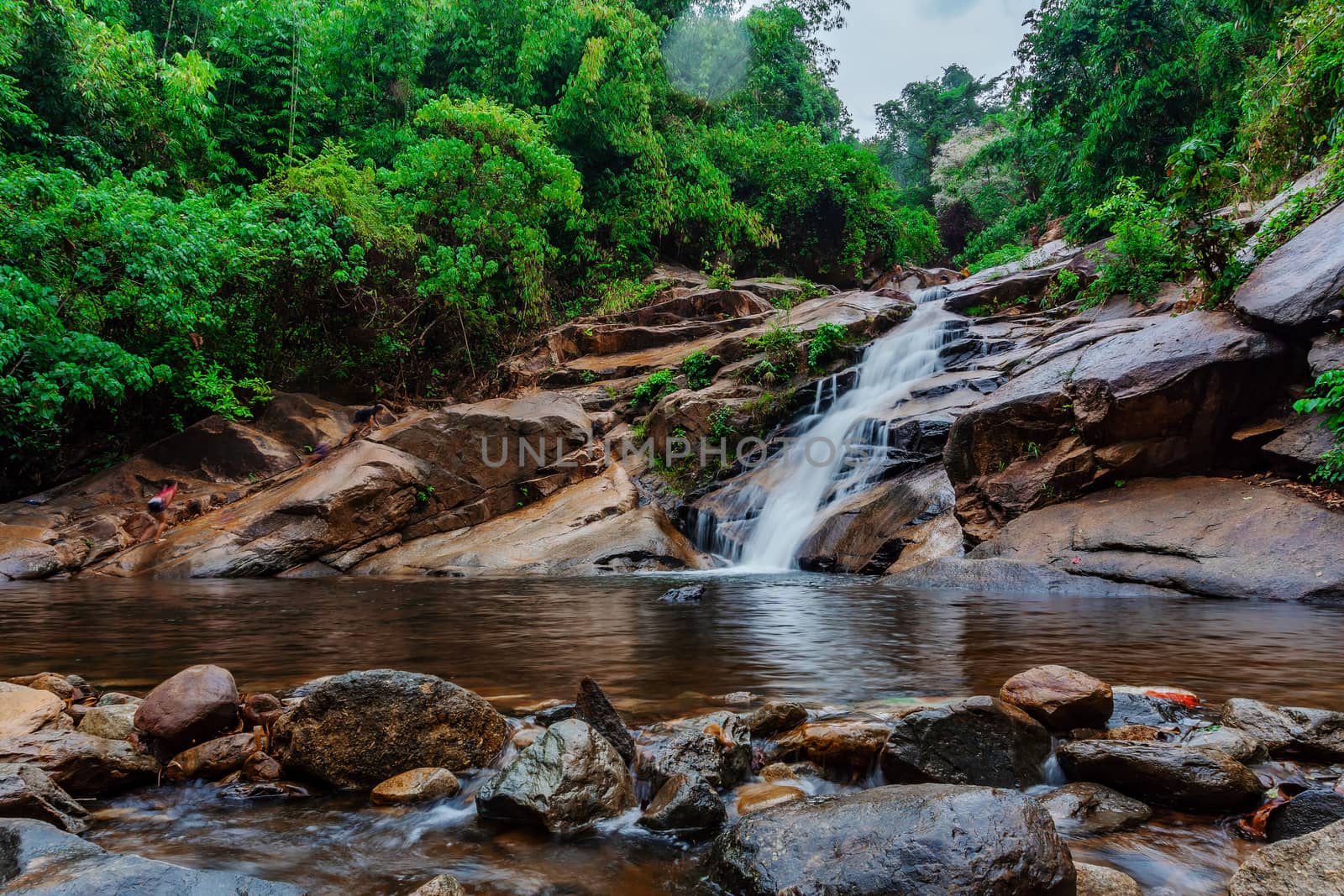 Water fall in forest with green tree landscape nature background