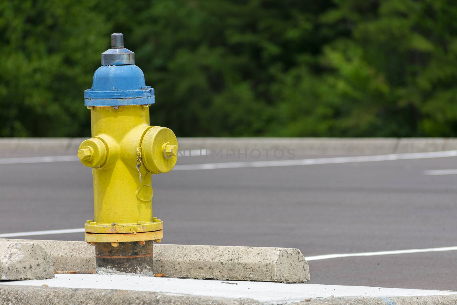 Horizontal shot of an old yellow and blue fire hydrant with copy space.