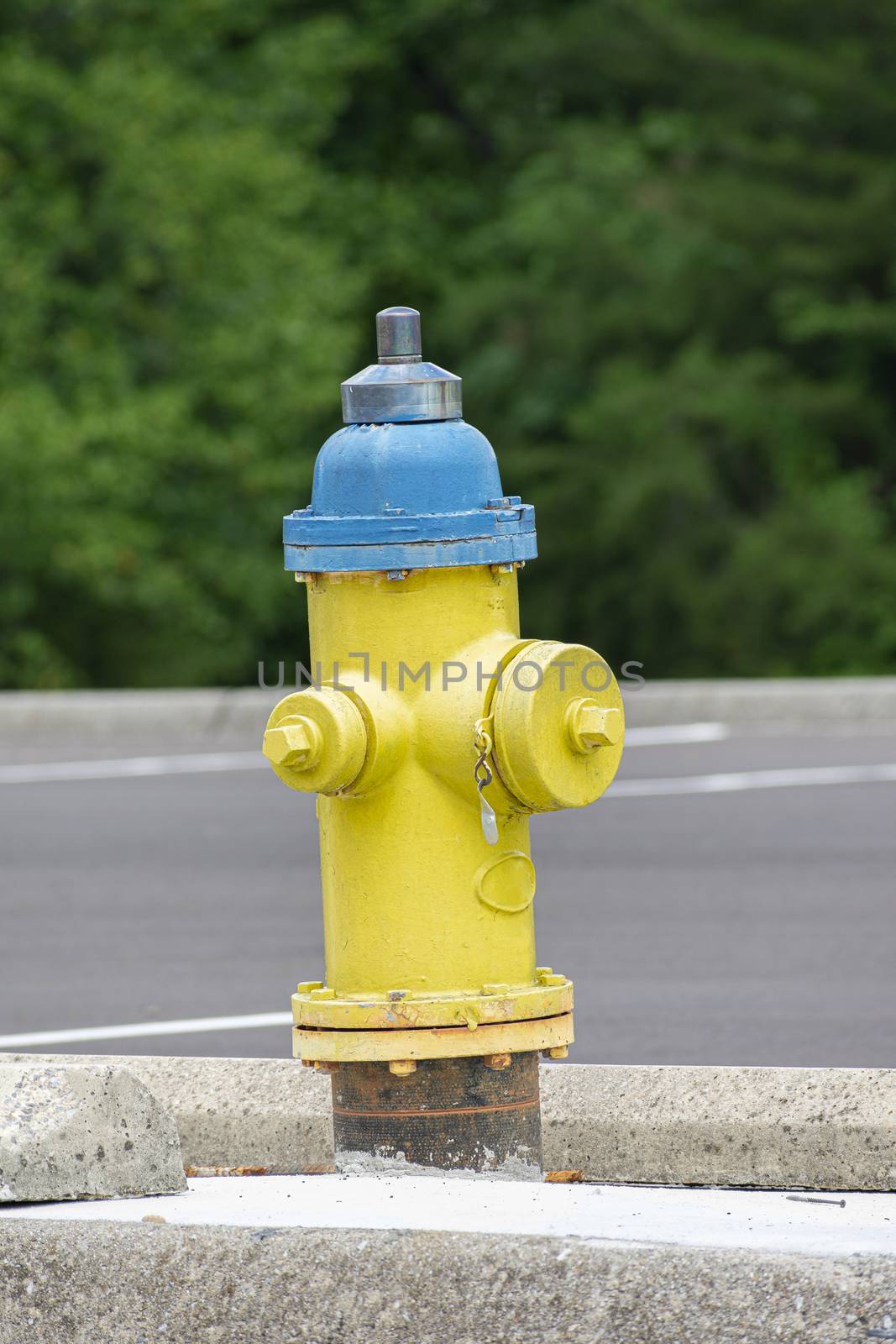 Vertical shot of an old yellow and blue fire hydrant with copy space.