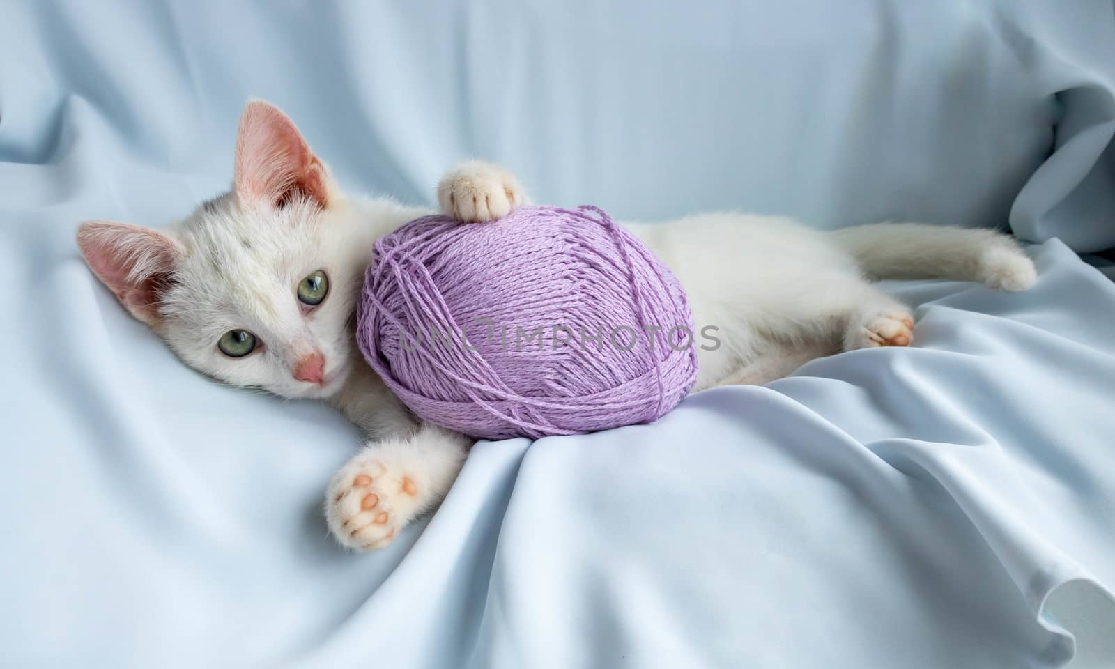 Kitten playing lying down, biting a ball of thread