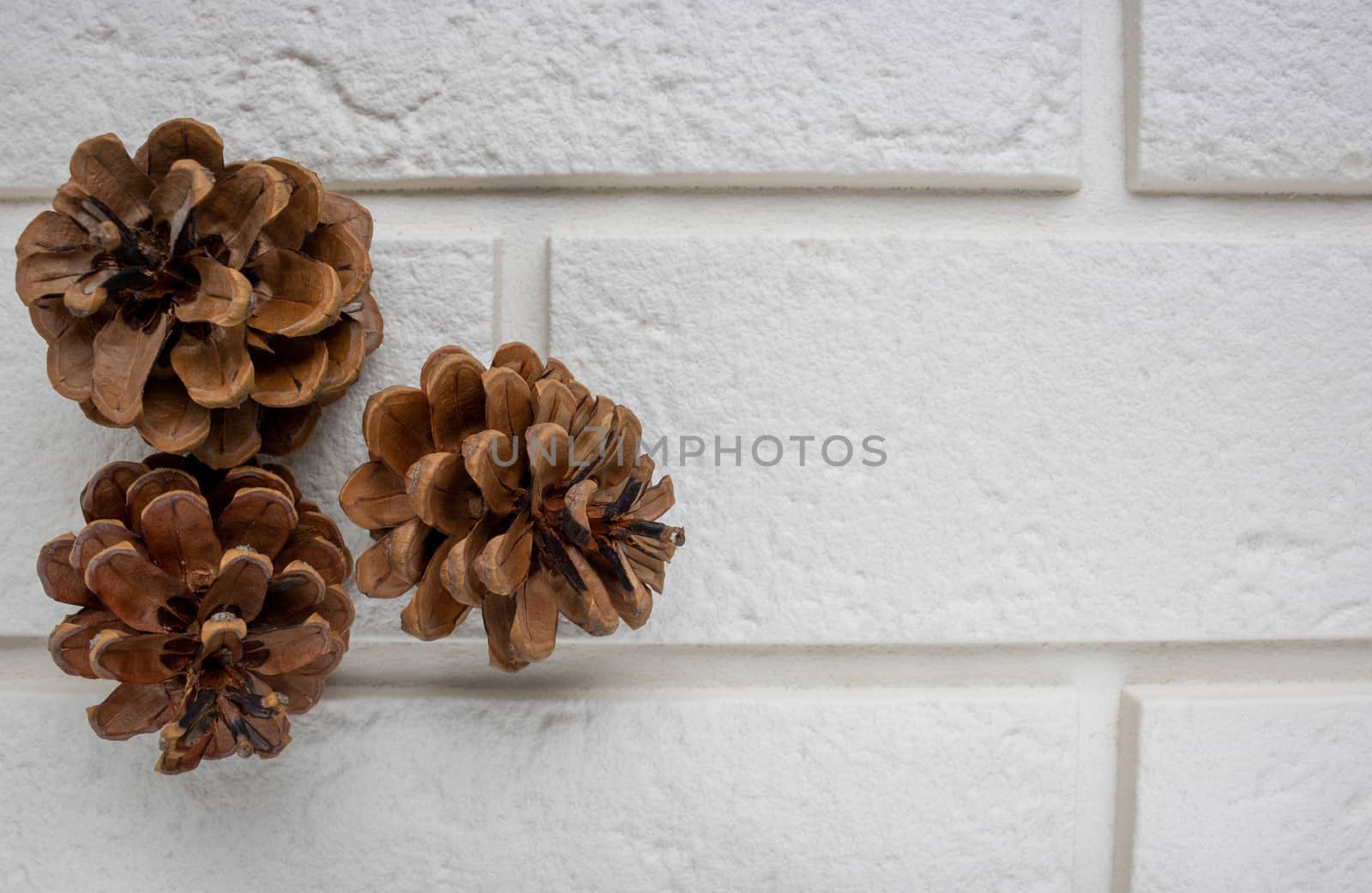 Pine cones lie on white bricks.The concept of a new year, Christmas, holiday by lapushka62