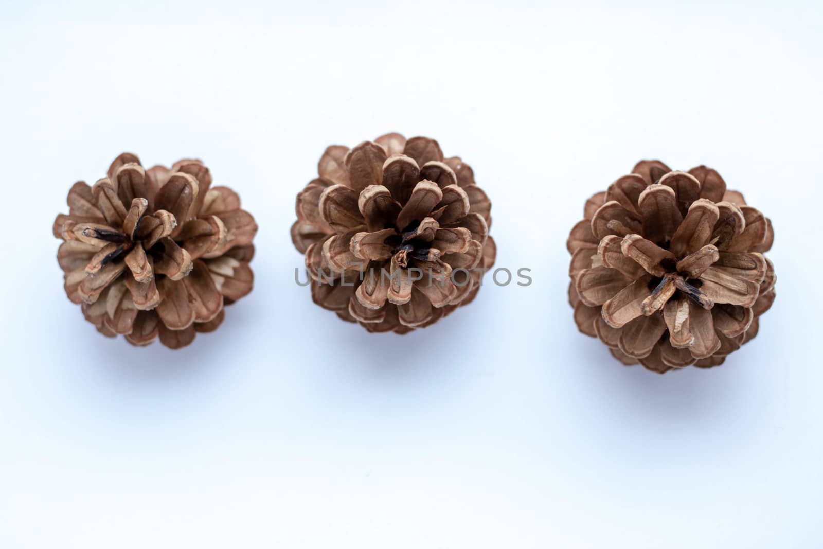 Christmas composition on a white background. A group of cones, large and small.