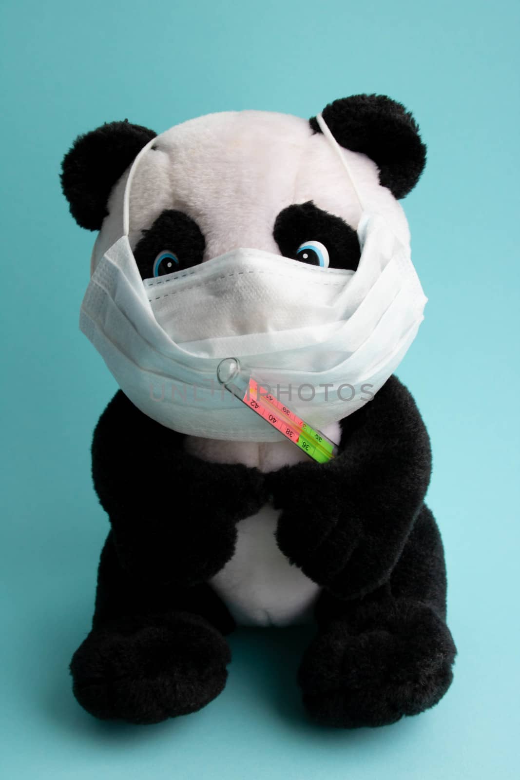 A toy panda in a medical mask with a thermometer sits on blue background. Coronavirus treatment concept.