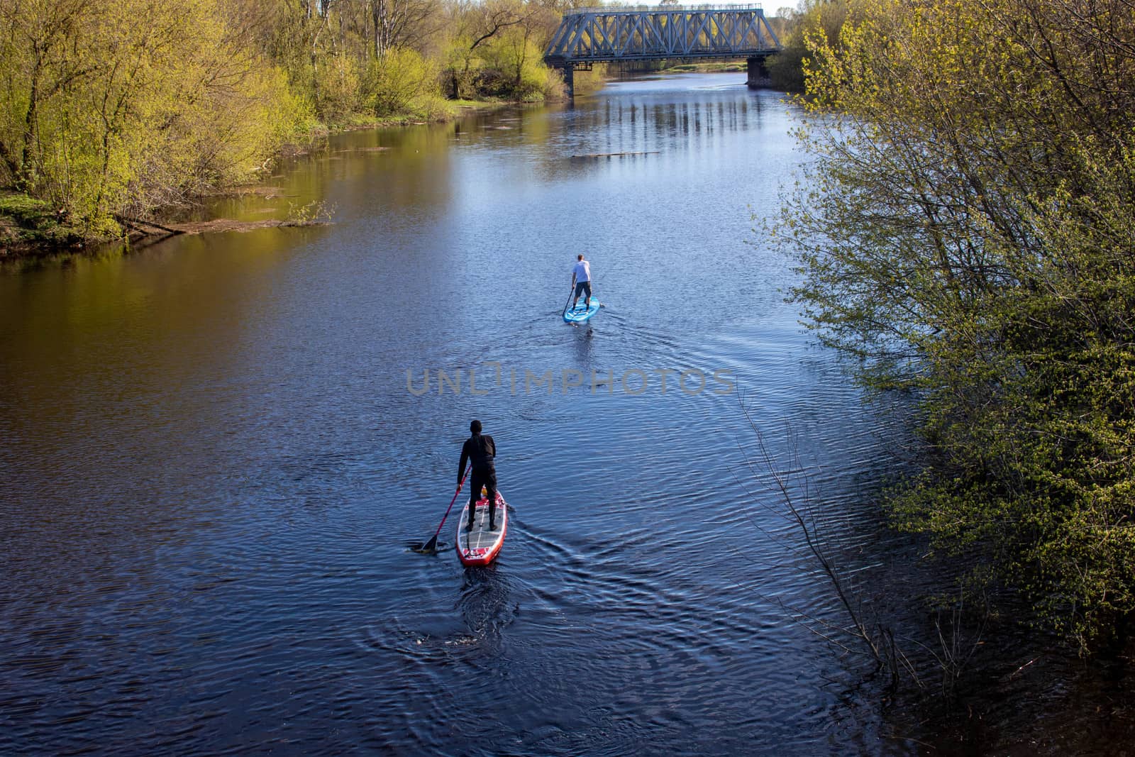 Two men are swimming on a paddleboard on the spring river.I can't see his face.