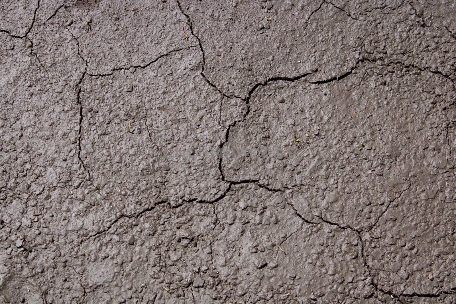 Dried cracked Earthen soil background texture of the soil. A mosaic pattern of earth's dried soil.