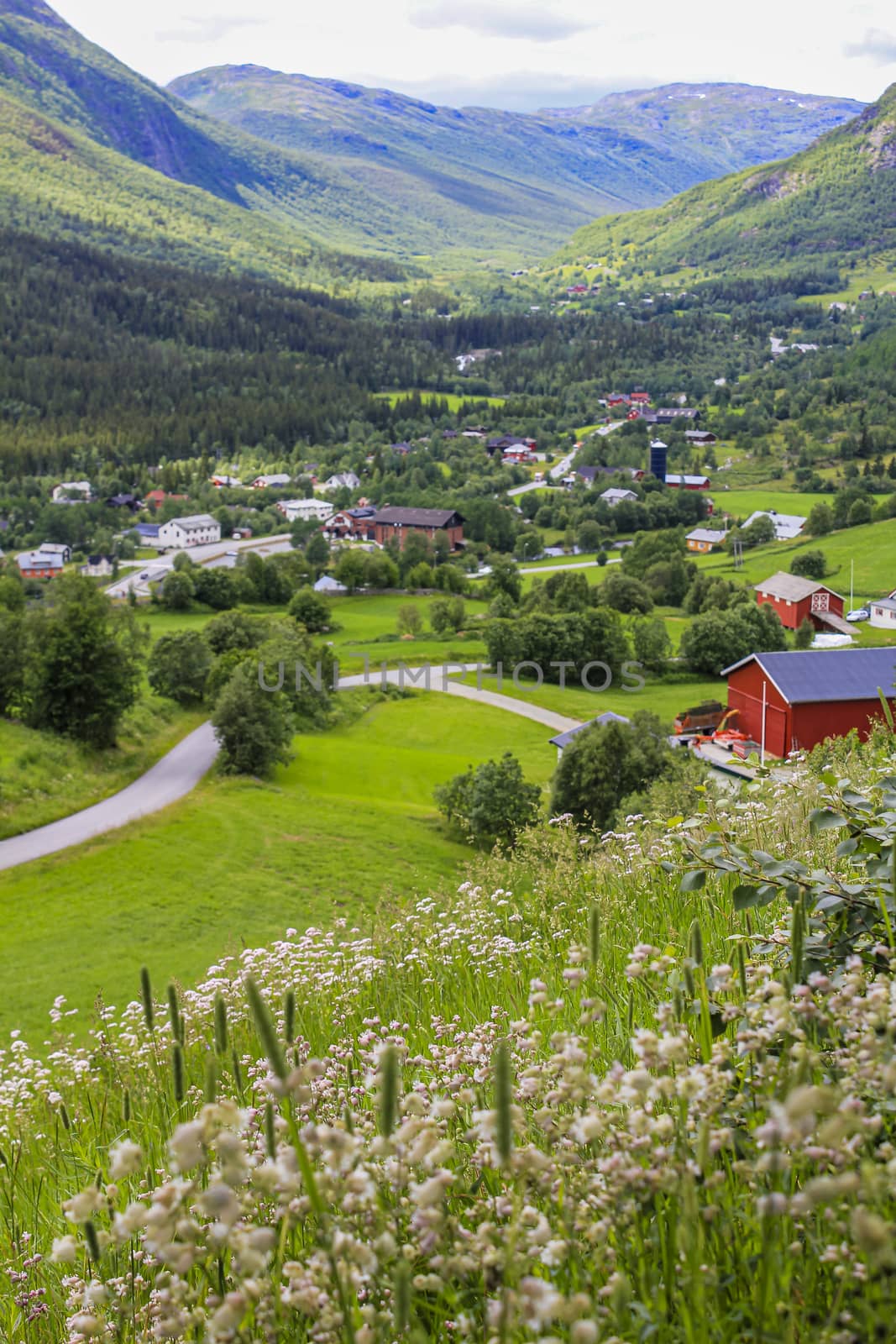 Panorama Norway, Hemsedal Mountains, red farmhouses and green meadows, Viken, Buskerud.