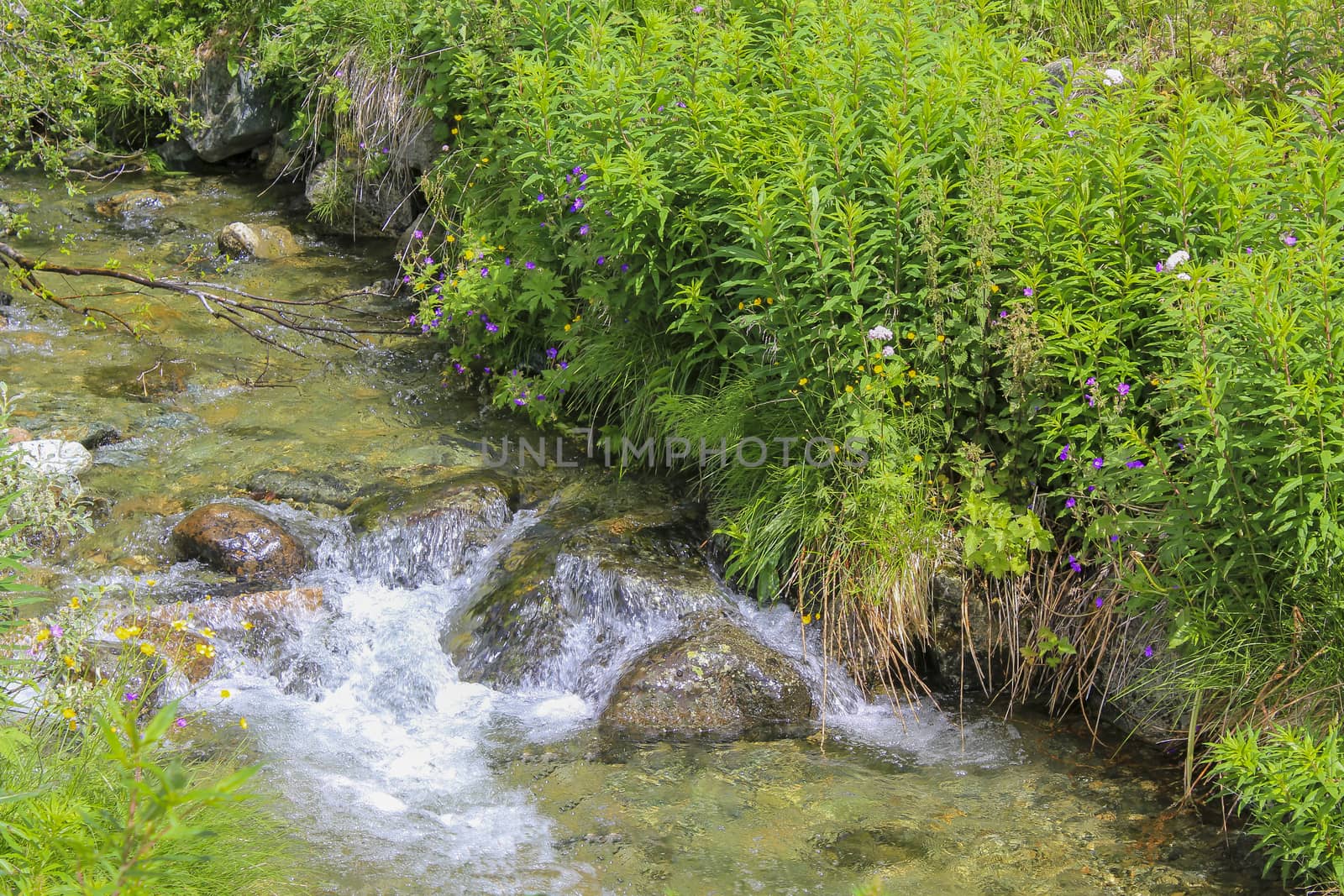 Flowing green river Lake Hemsila in Hemsedal, Viken, Buskerud, Norway.