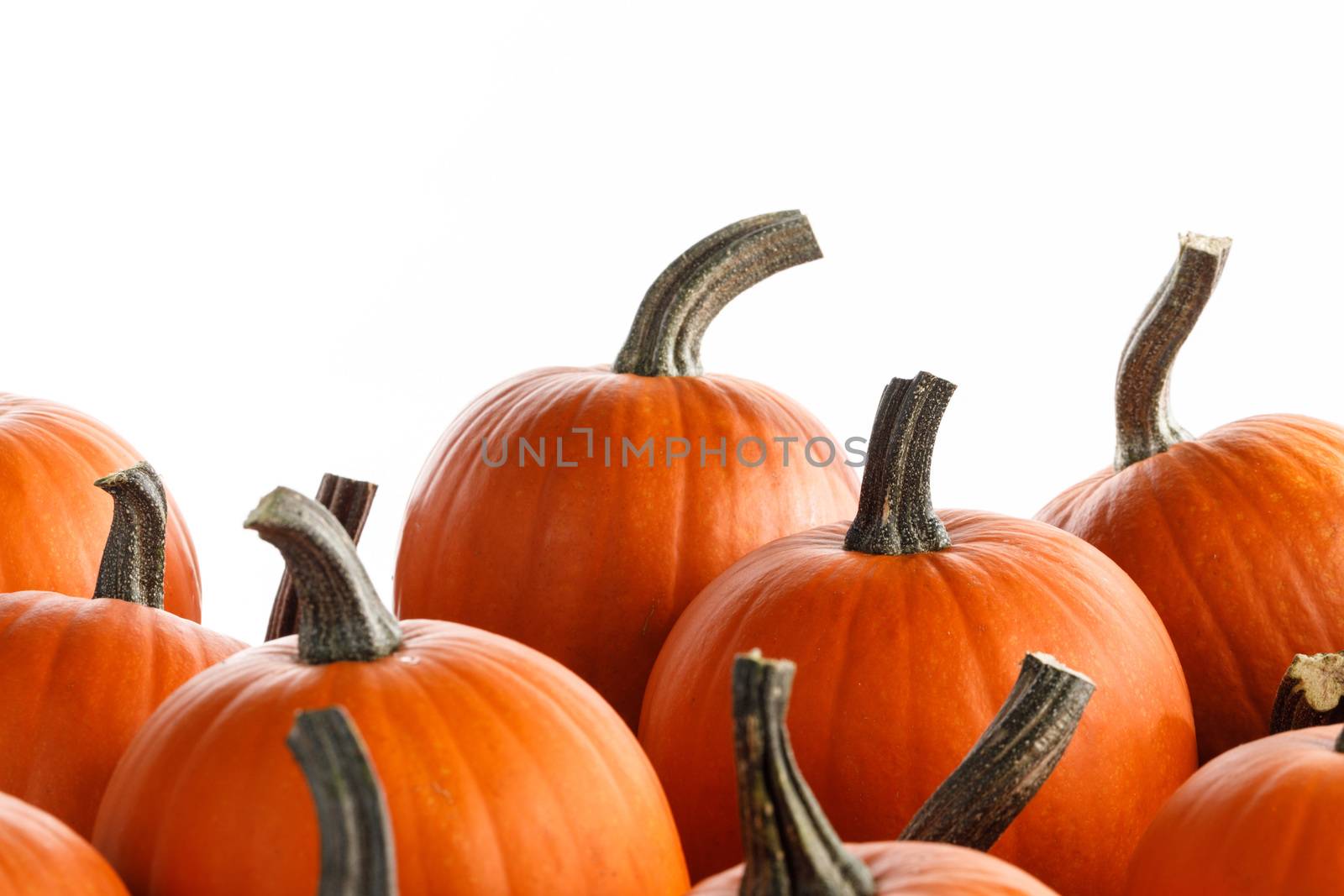 Heap of many orange pumpkins isolated on white background , Halloween concept