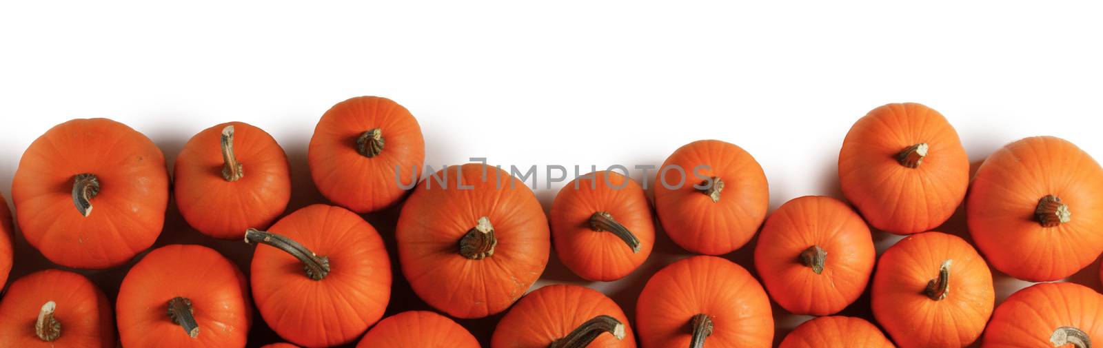 Heap of many orange pumpkins on white background , Halloween concept , copy space for text