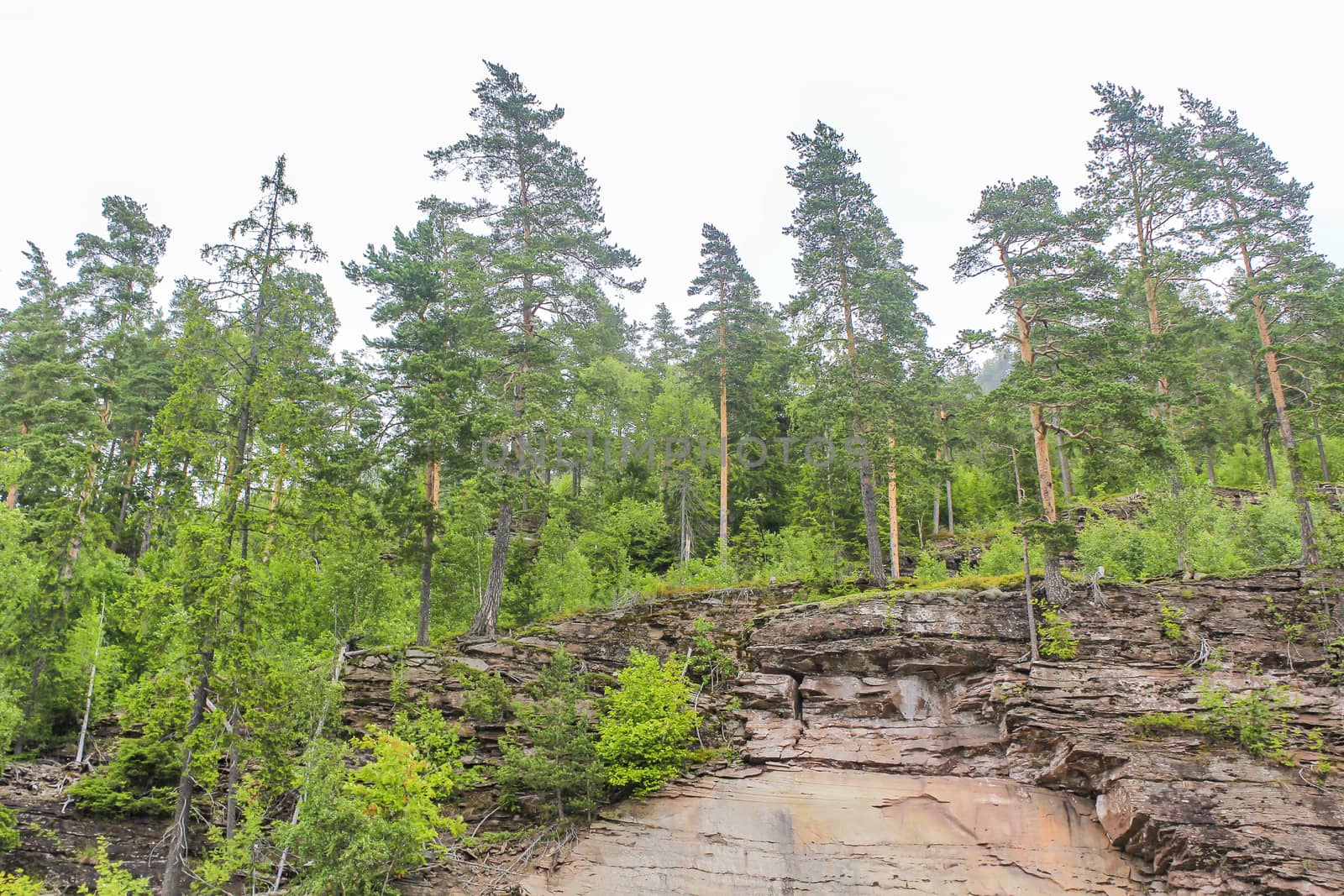 Beautiful Norwegian landscape with trees firs mountains and rocks. Norway Nature.