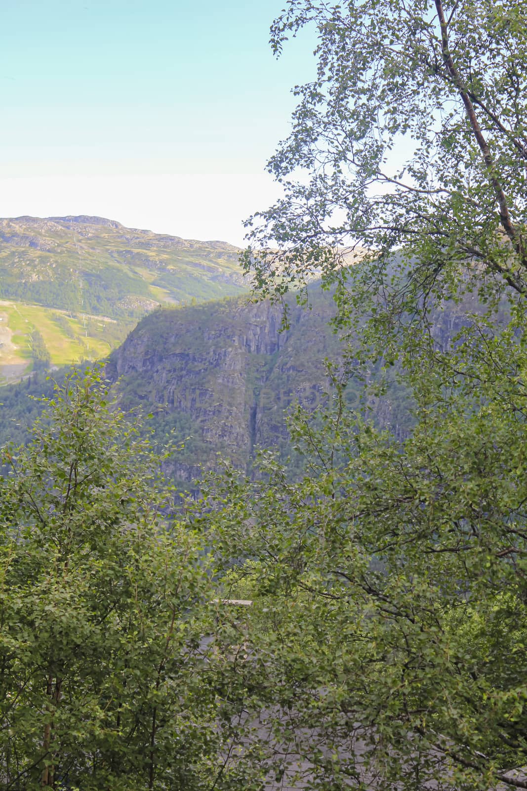 Norwegian landscape with trees firs mountains and rocks. Norway Nature. by Arkadij